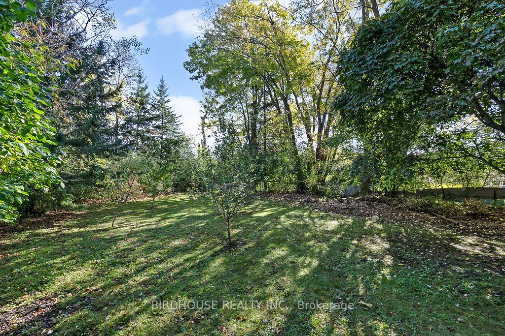78 Albert St S