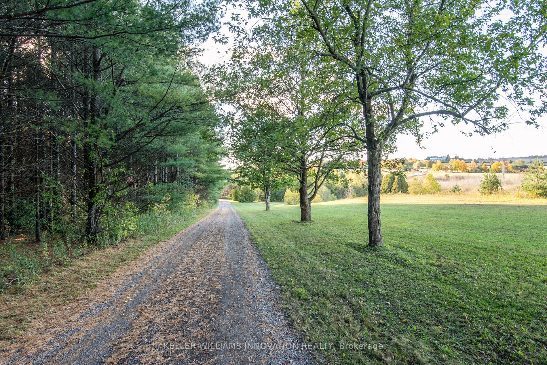 5525 Wellington Road 26 Rd