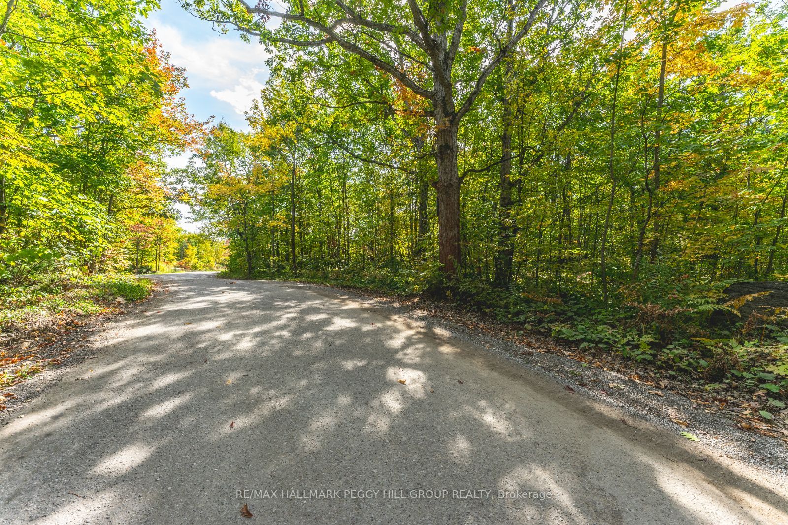 87 Corrievale Lot B Rd