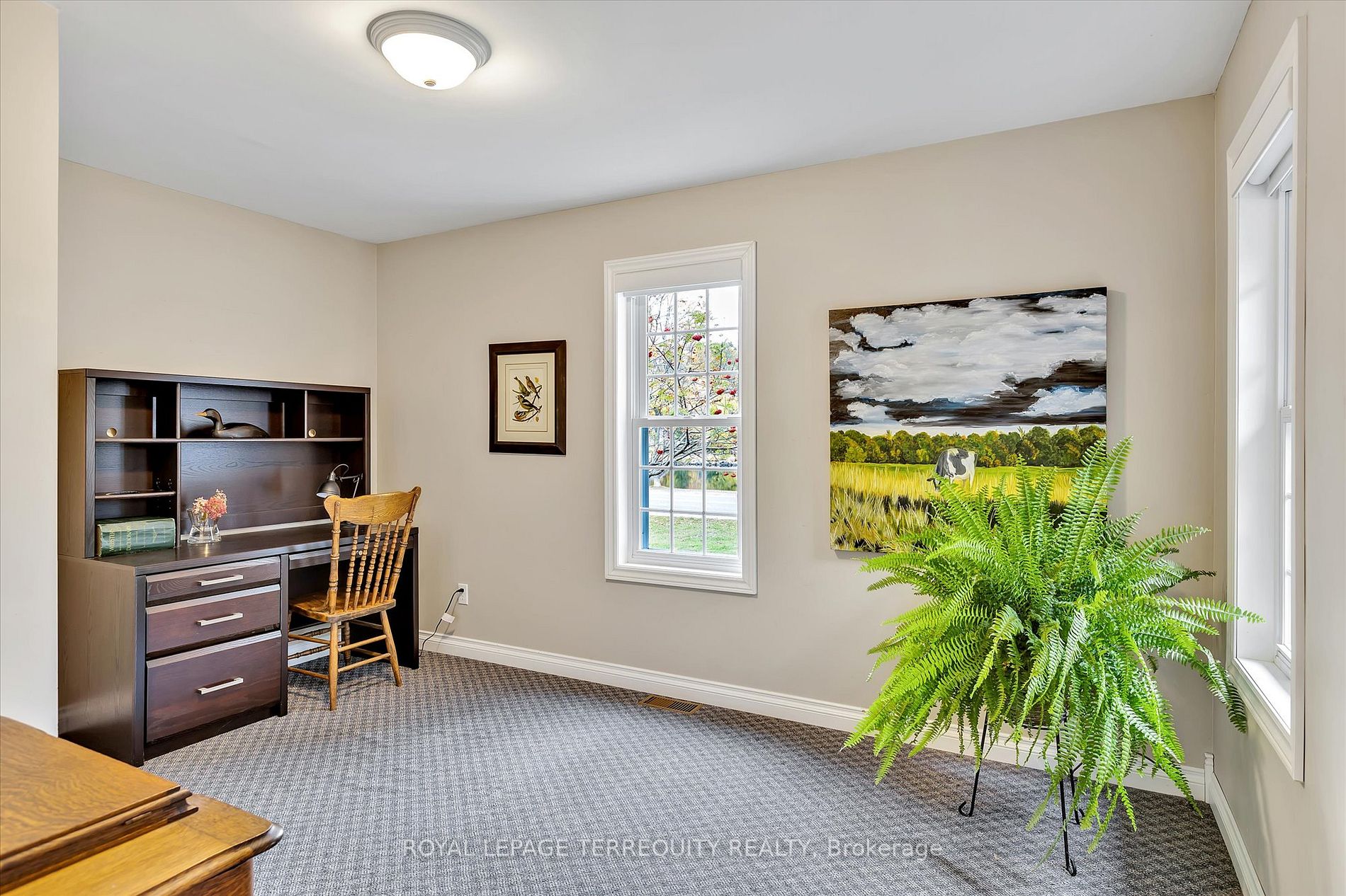 50 Trent Dr