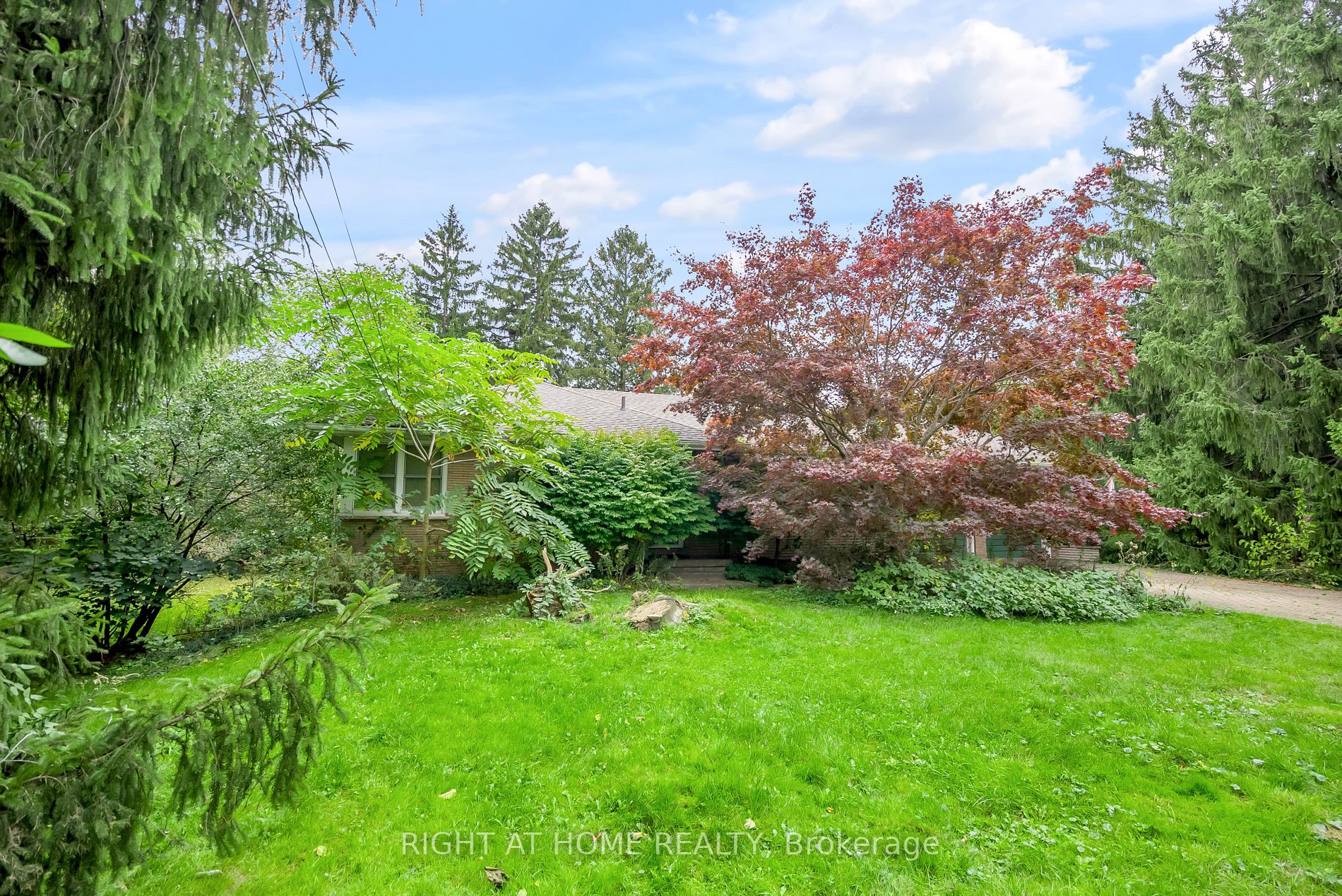 49 Thornwood Dr