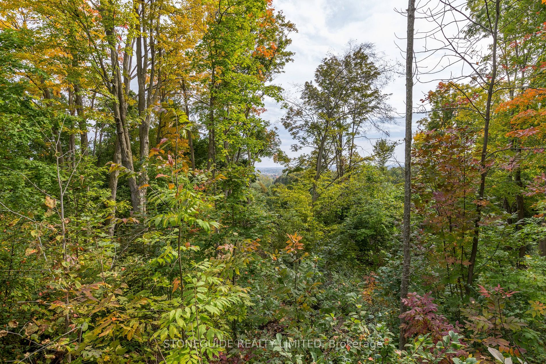 146 Ridgewood Rd