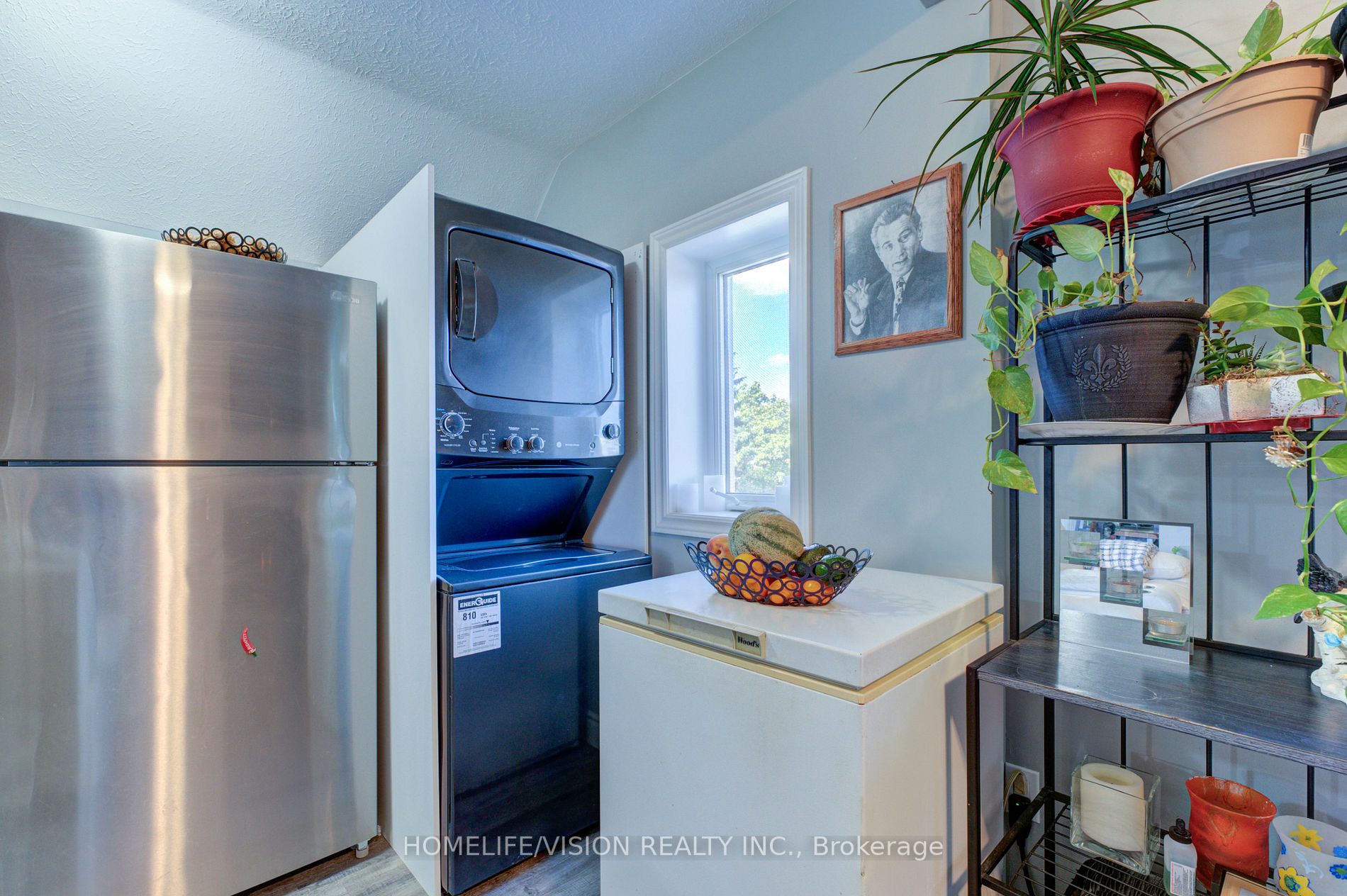 18 Elgin St