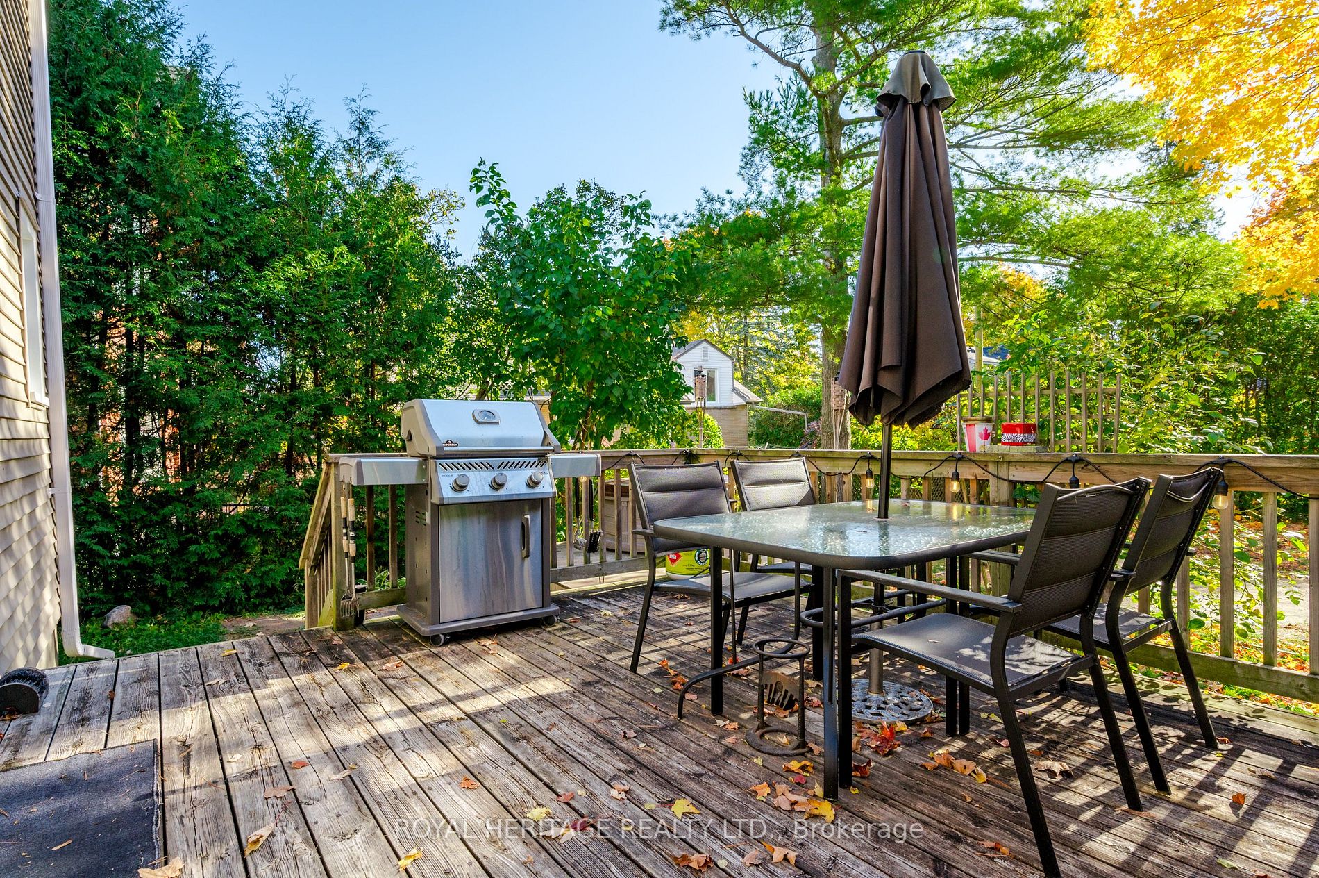 179 Wolsely St