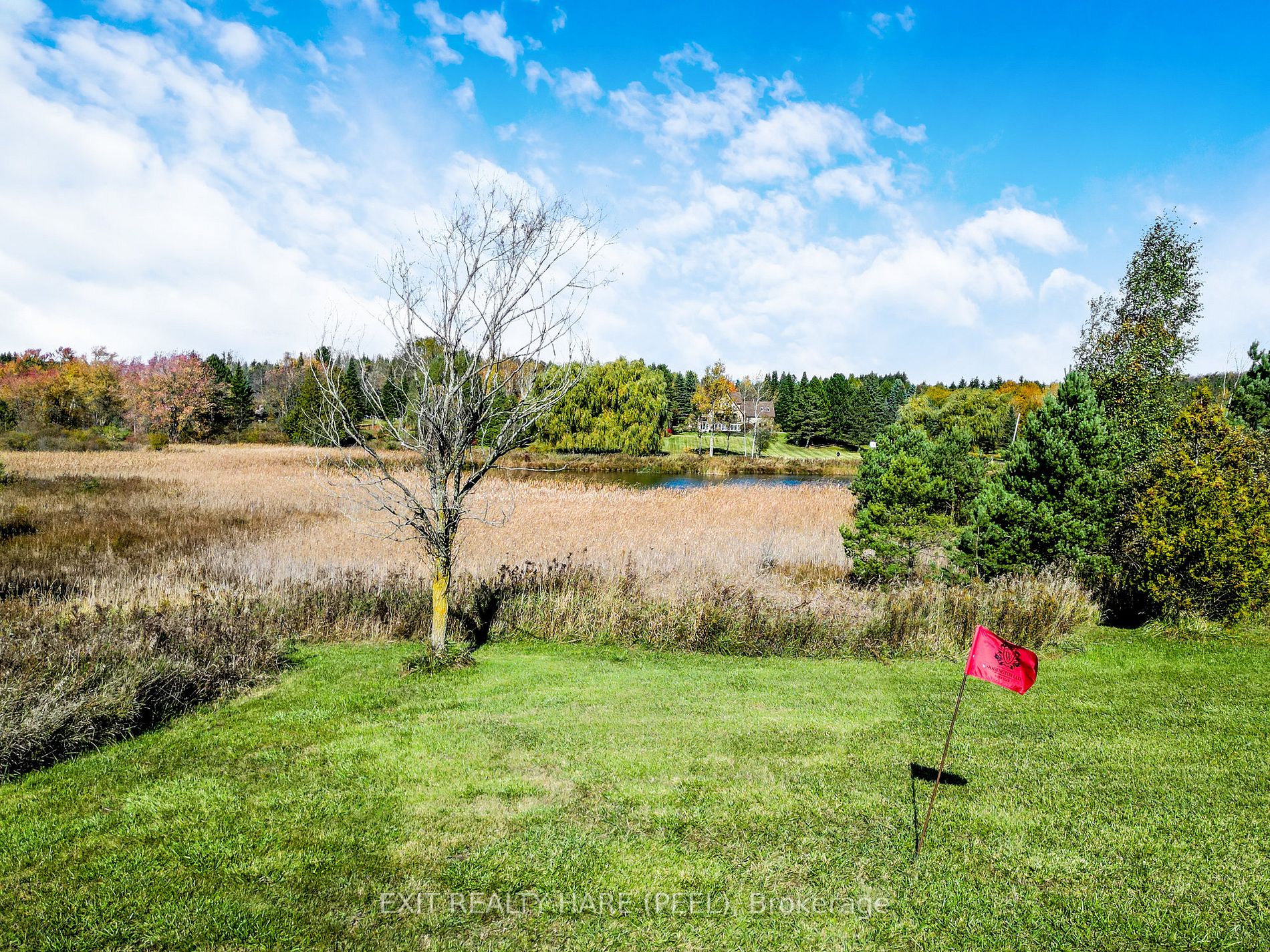 208167 Highway 9