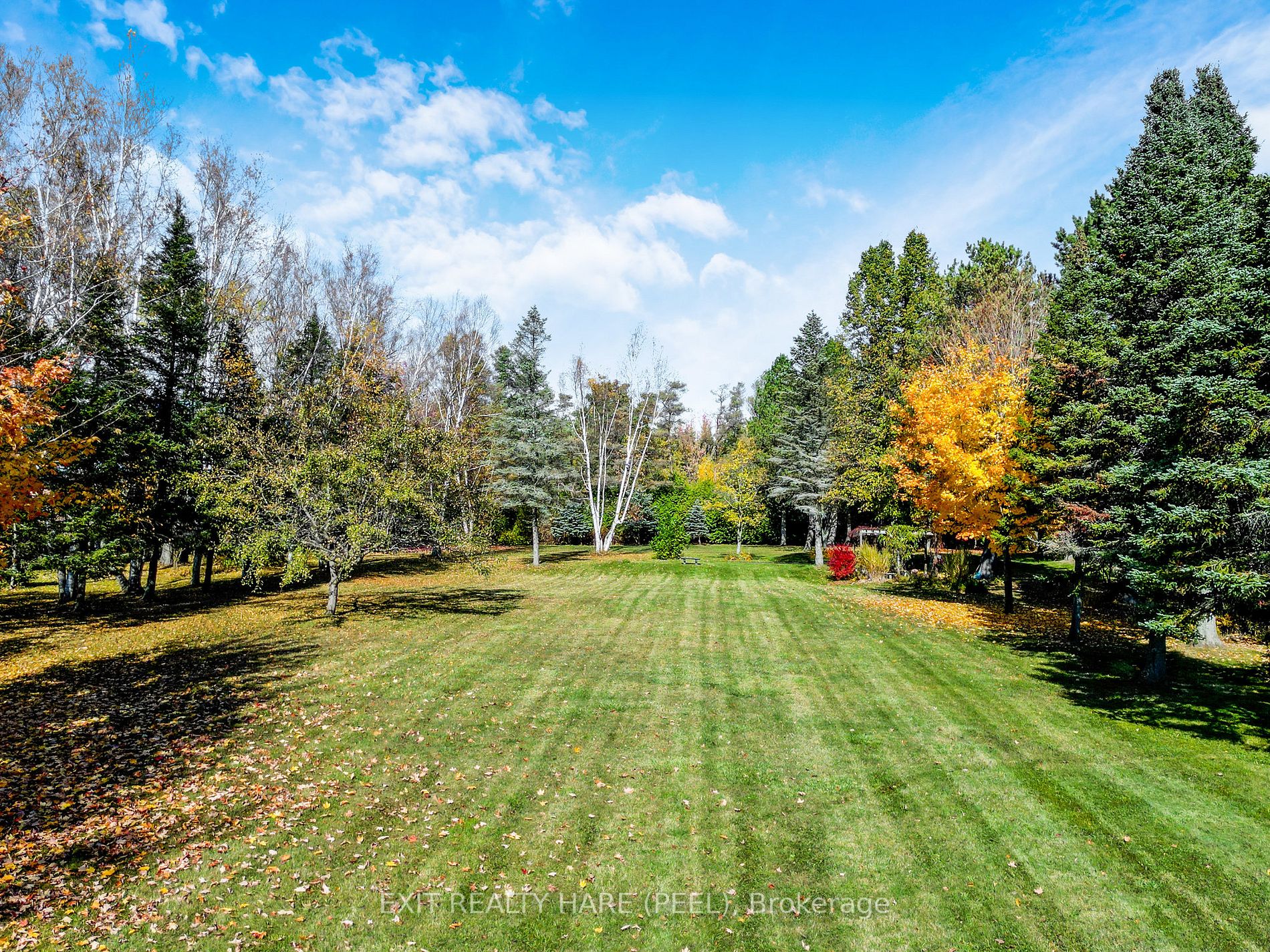 208167 Highway 9