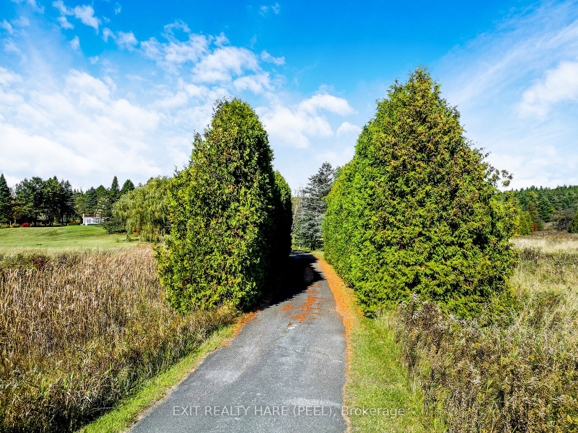 208167 Highway 9