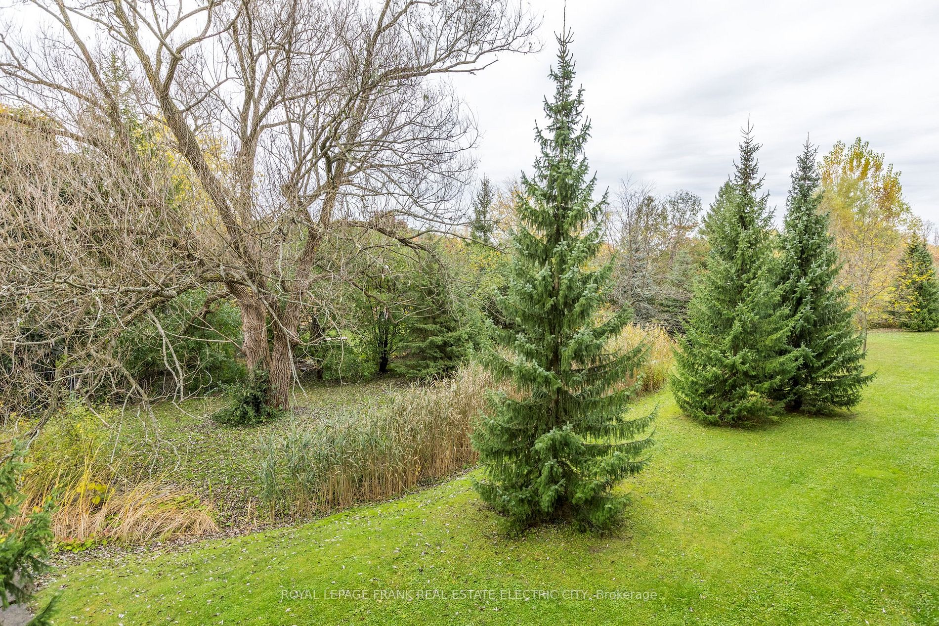 869 Clonsilla Ave, #113
