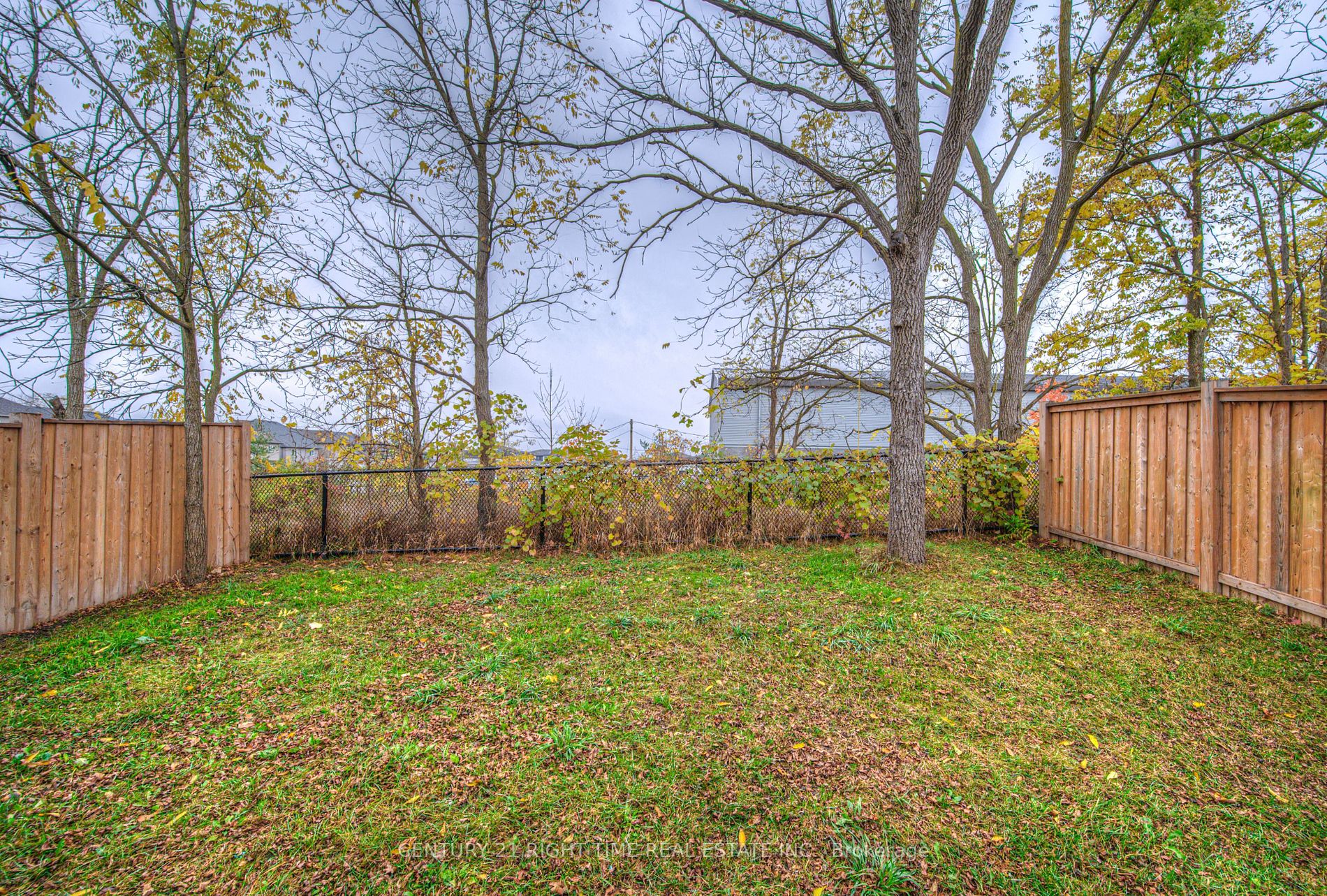 38 Mistywood St