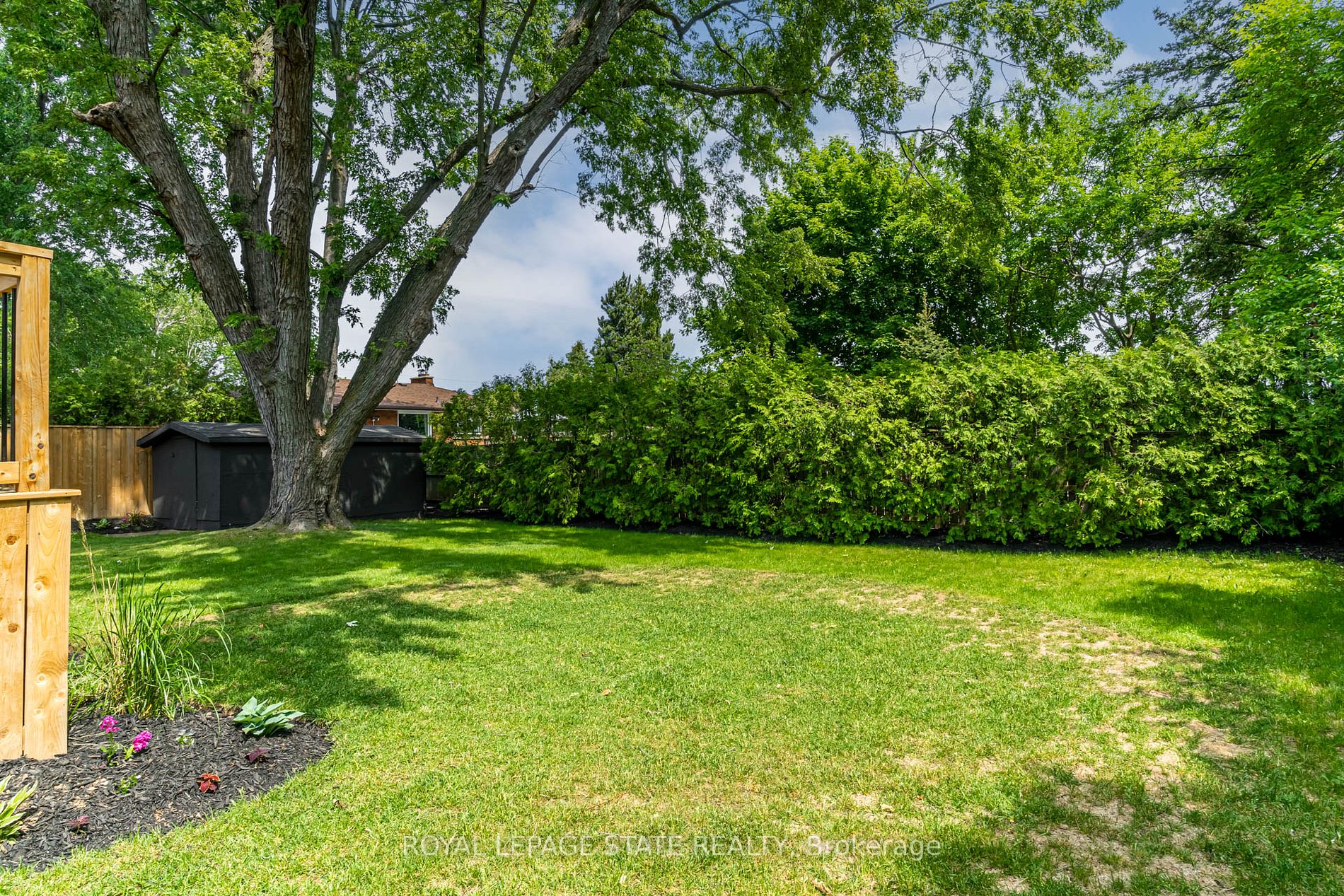 5 Gemma Crt