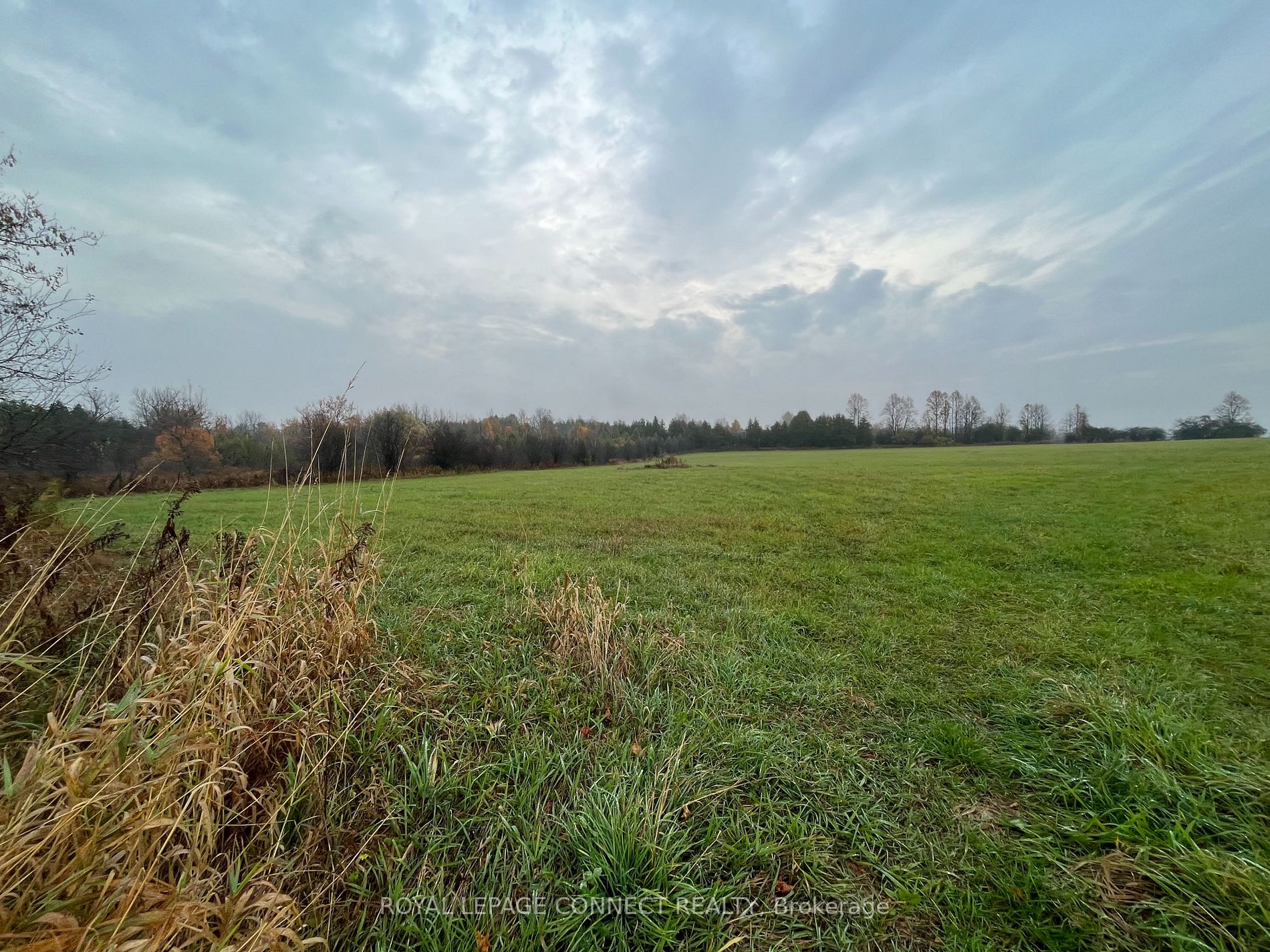 Lot 10 Pigeon Creek Rd