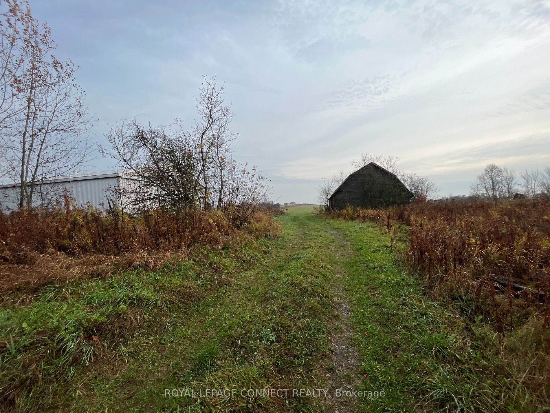 Lot 10 Pigeon Creek Rd