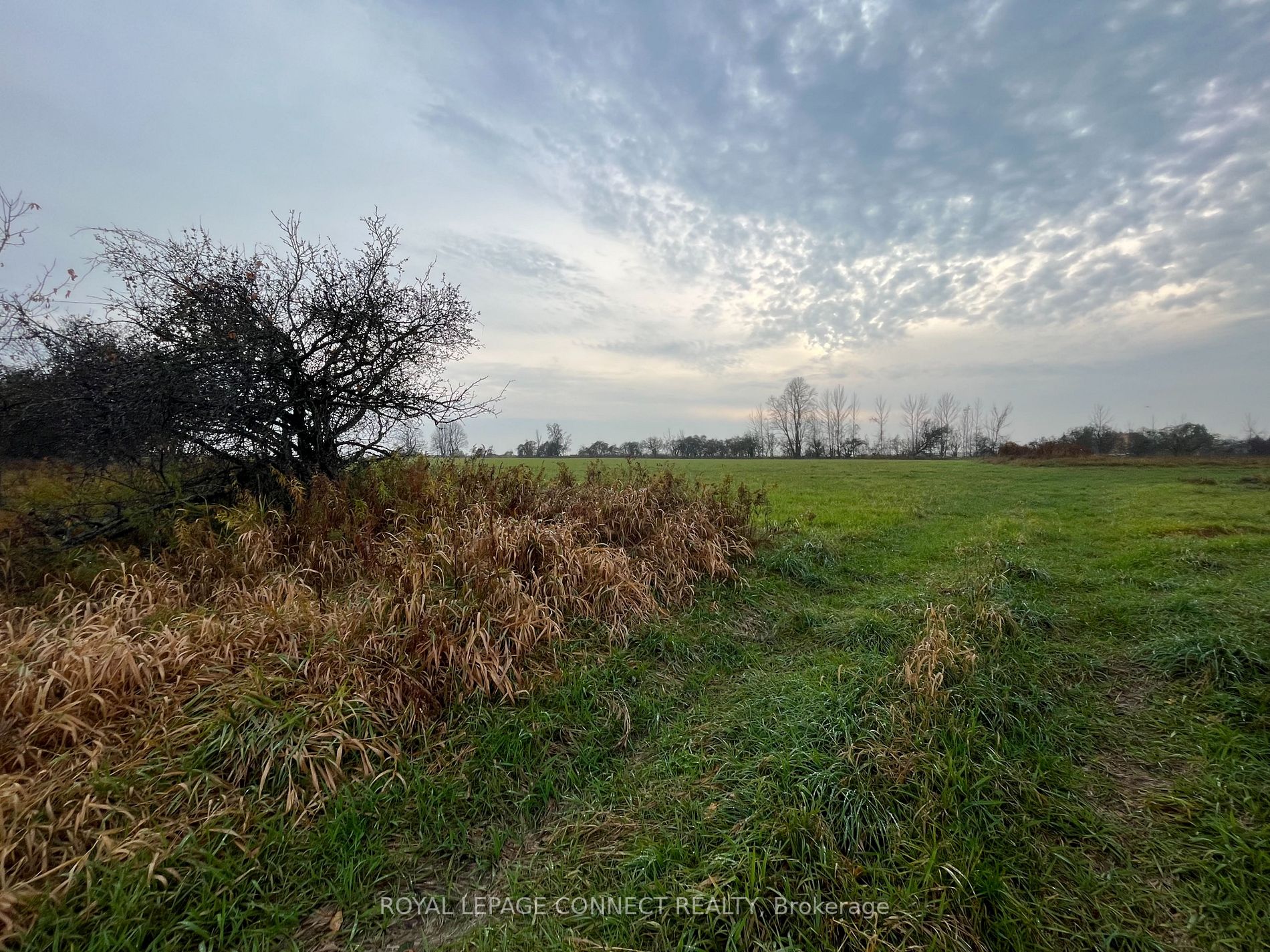 Lot 10 Pigeon Creek Rd