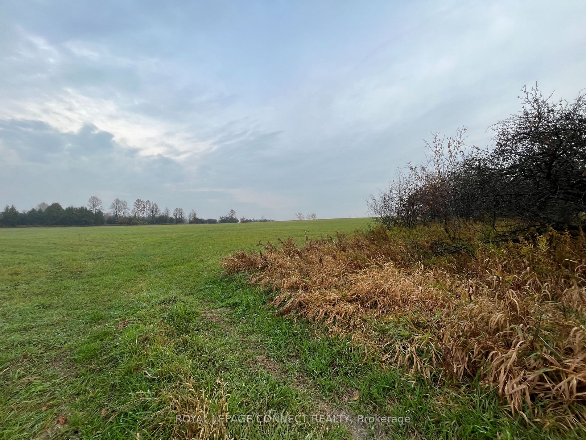 Lot 10 Pigeon Creek Rd