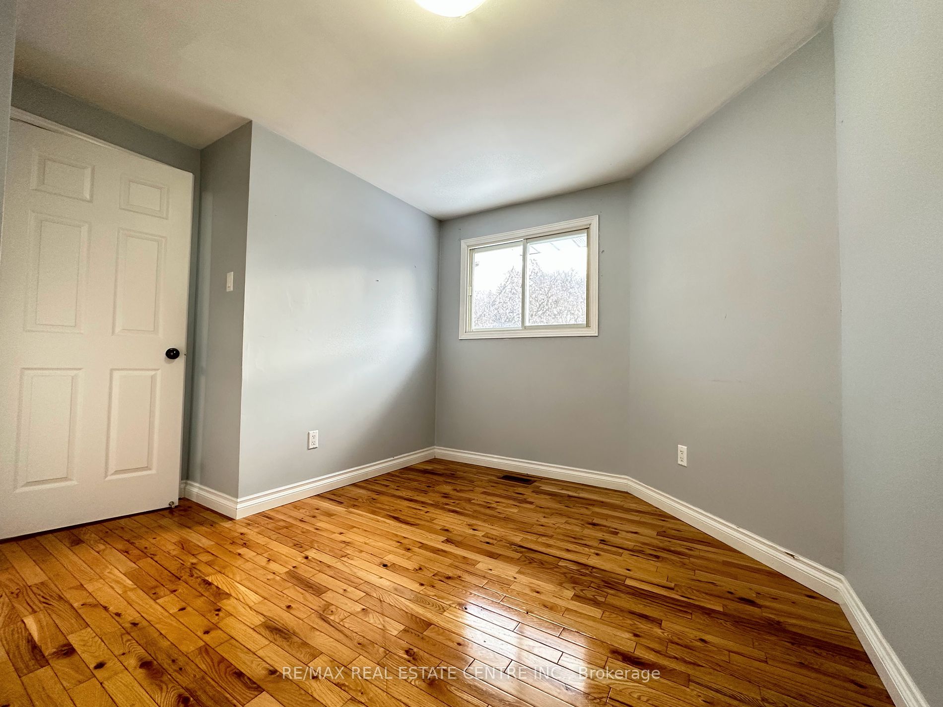 11 Norman Lane, #1