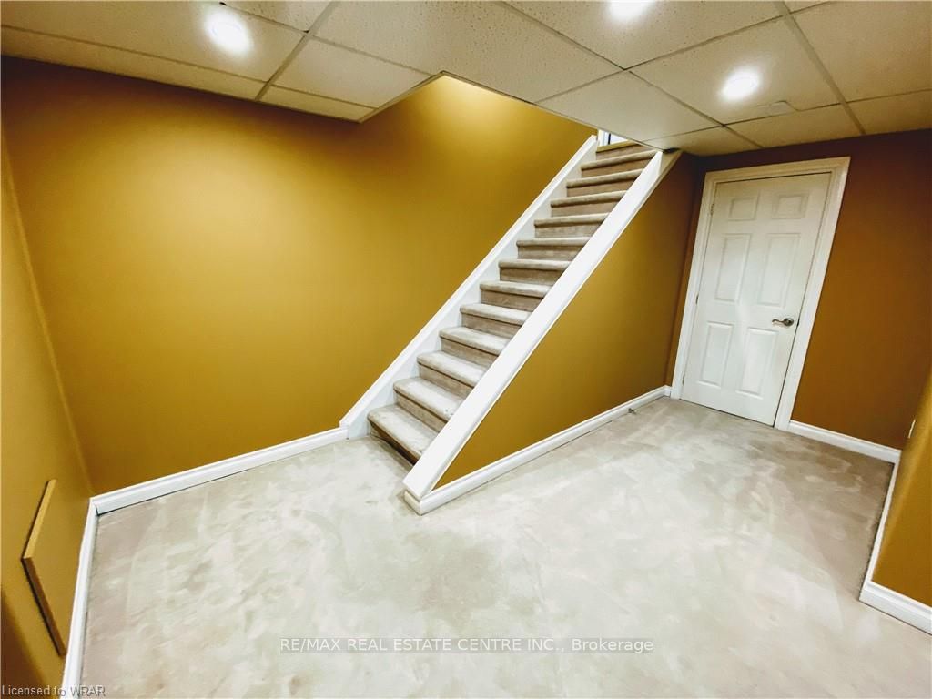 11 Norman Lane, #1