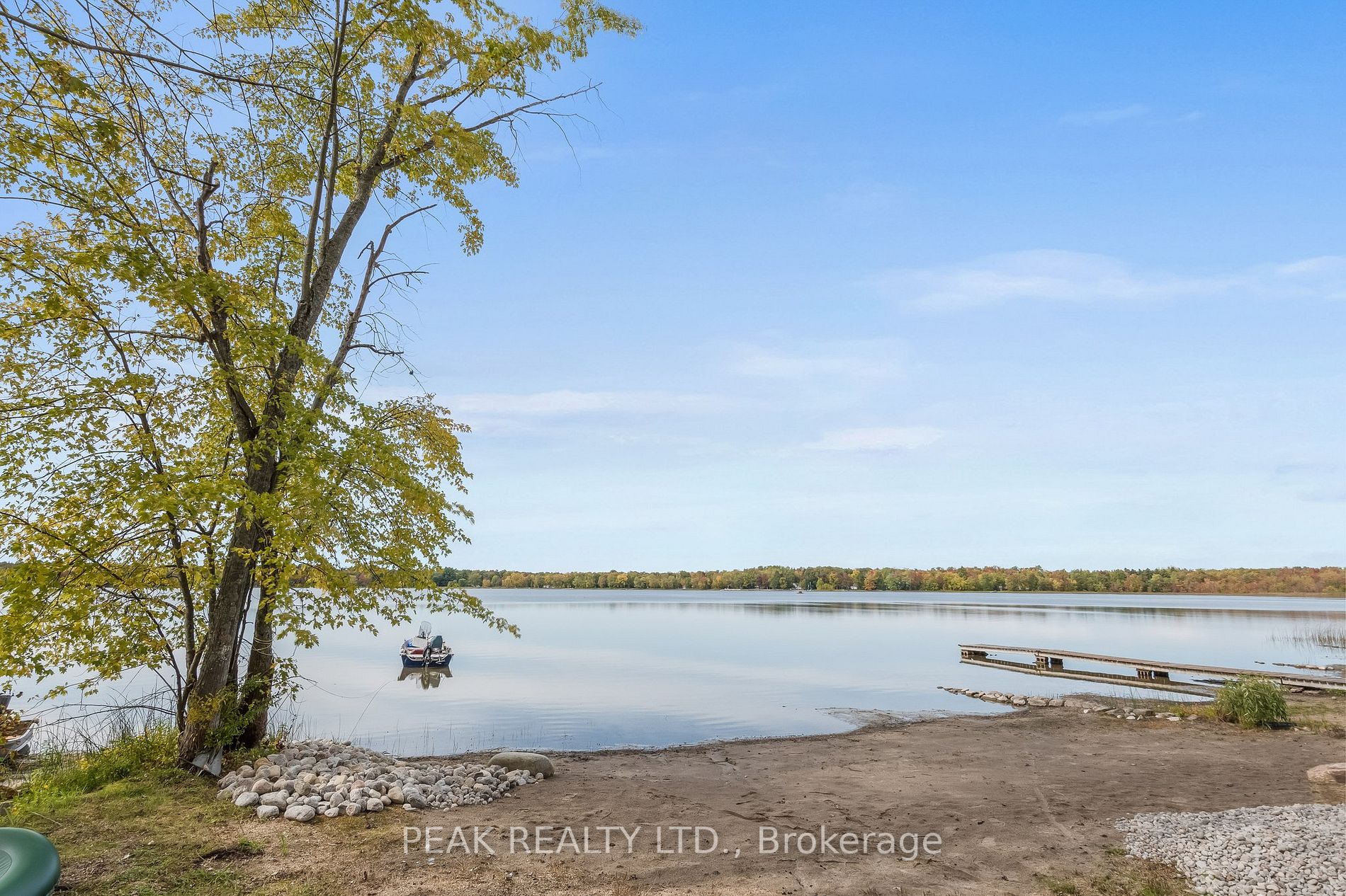 229 Monck Rd