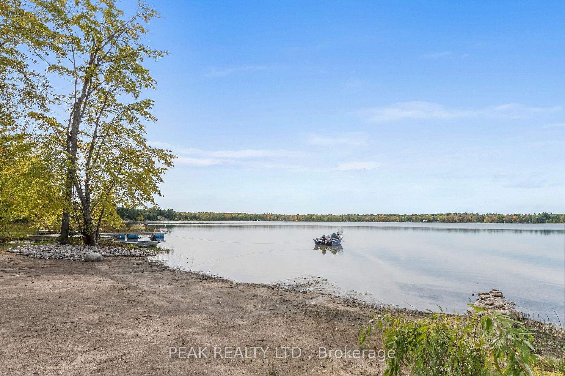 229 Monck Rd