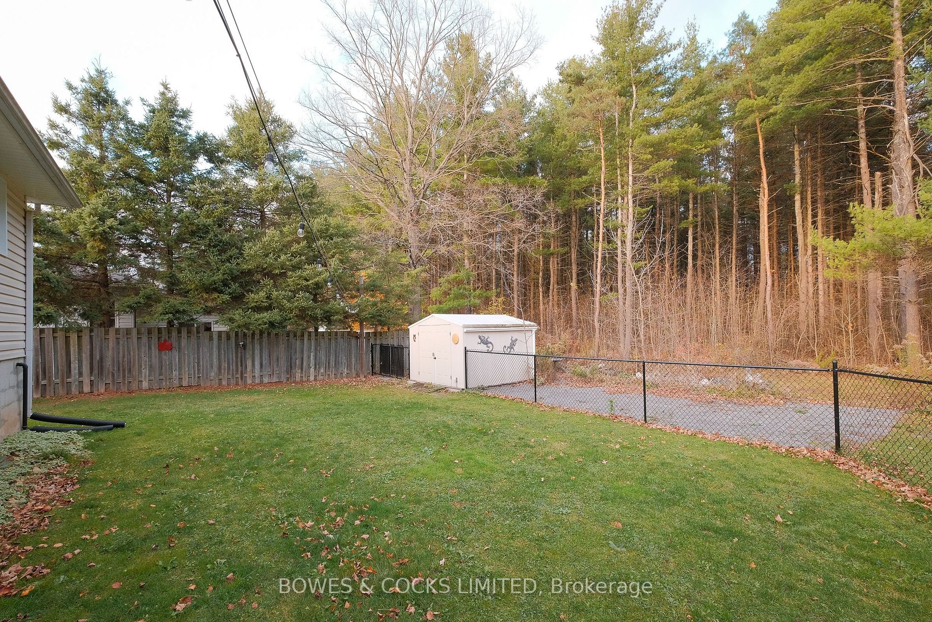32 South Maloney Street