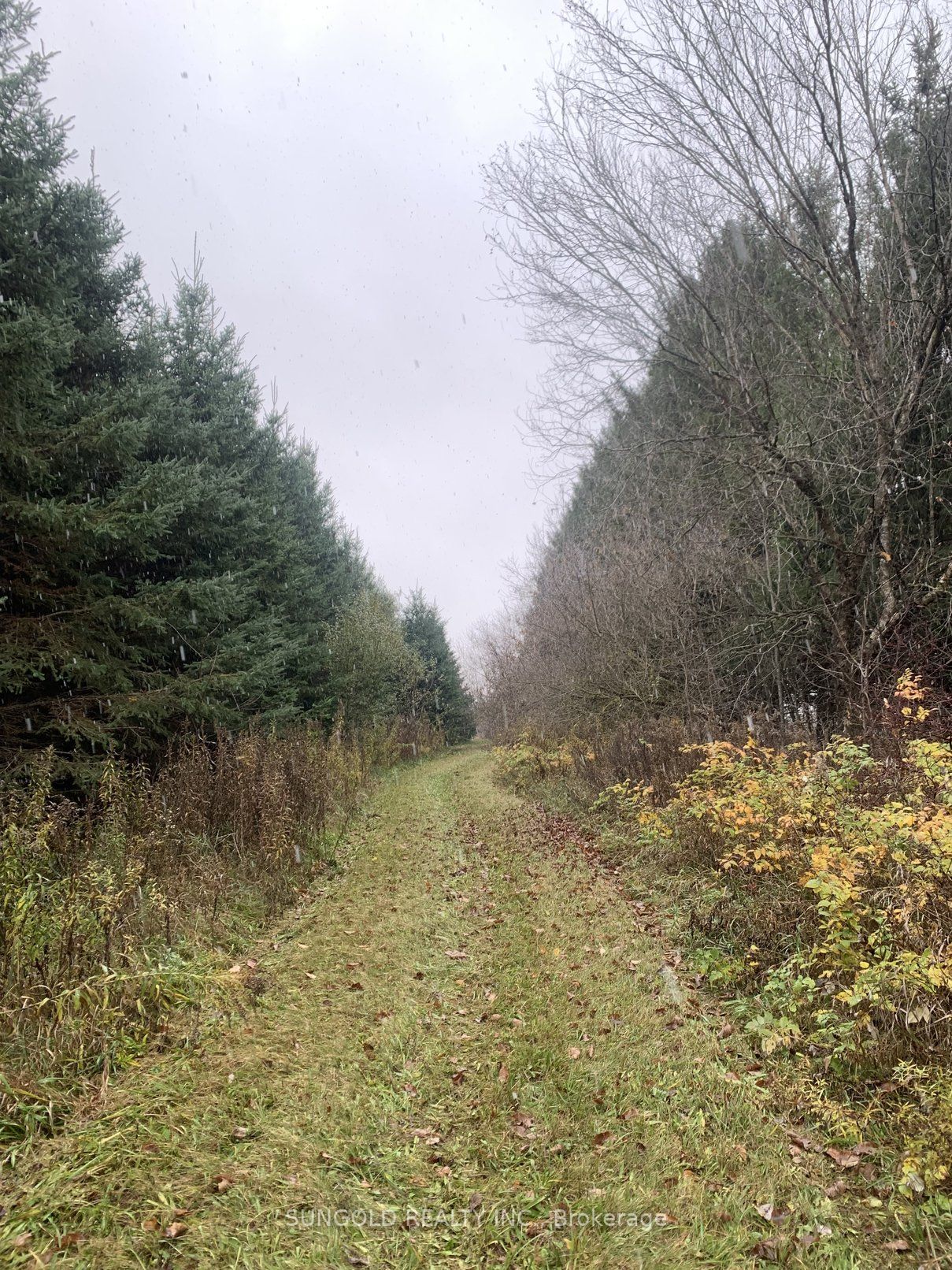 335093 7th Line