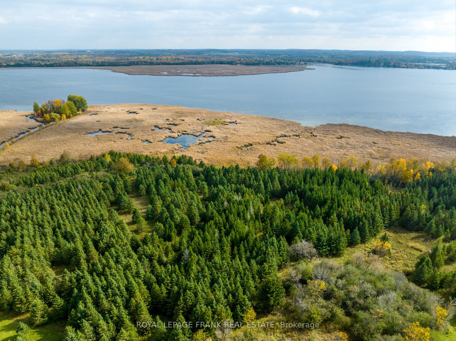 1916 Pigeon Lake Rd