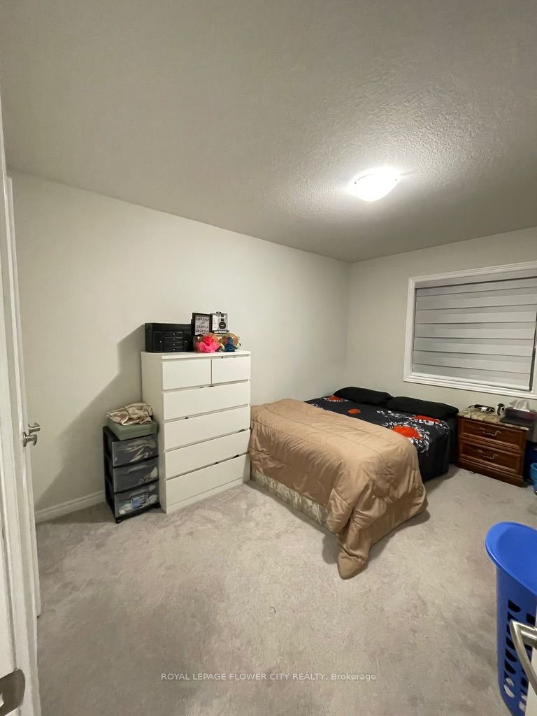 58 Genoa Dr
