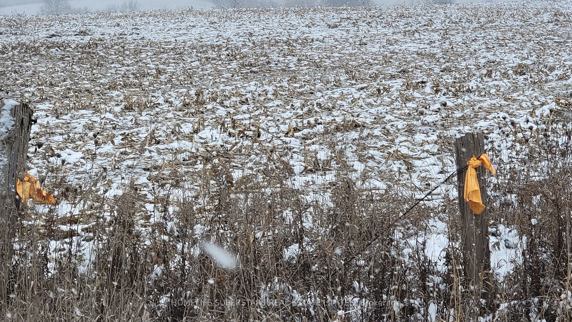 214131 10th Line