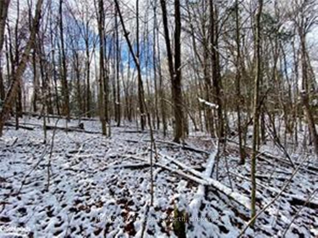 1505 North Shore Rd