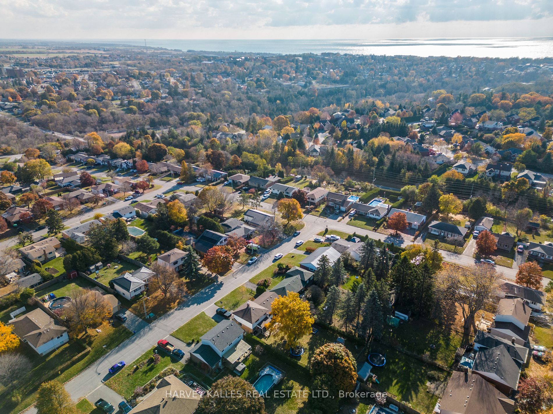 6 Campbell Rd