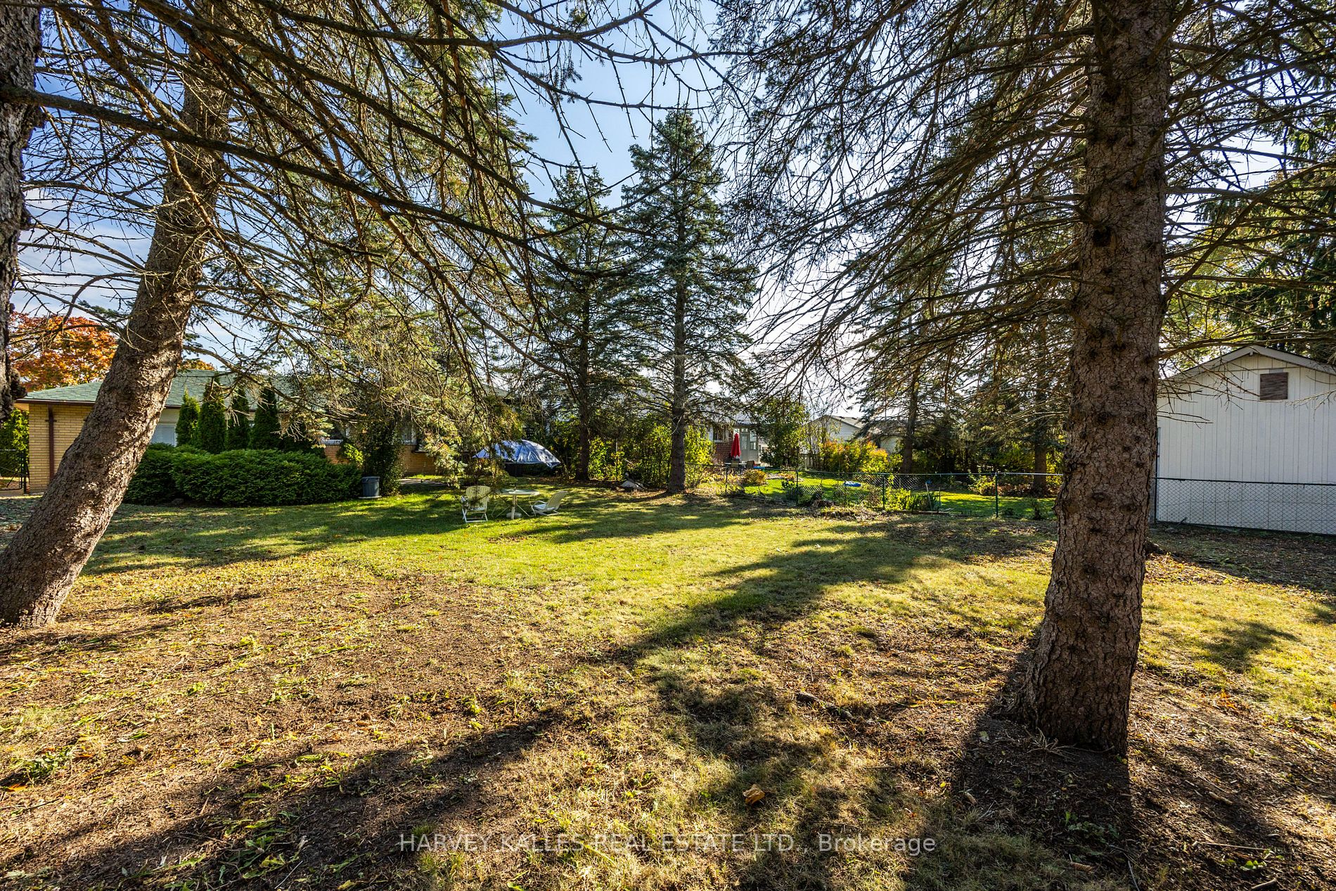 6 Campbell Rd