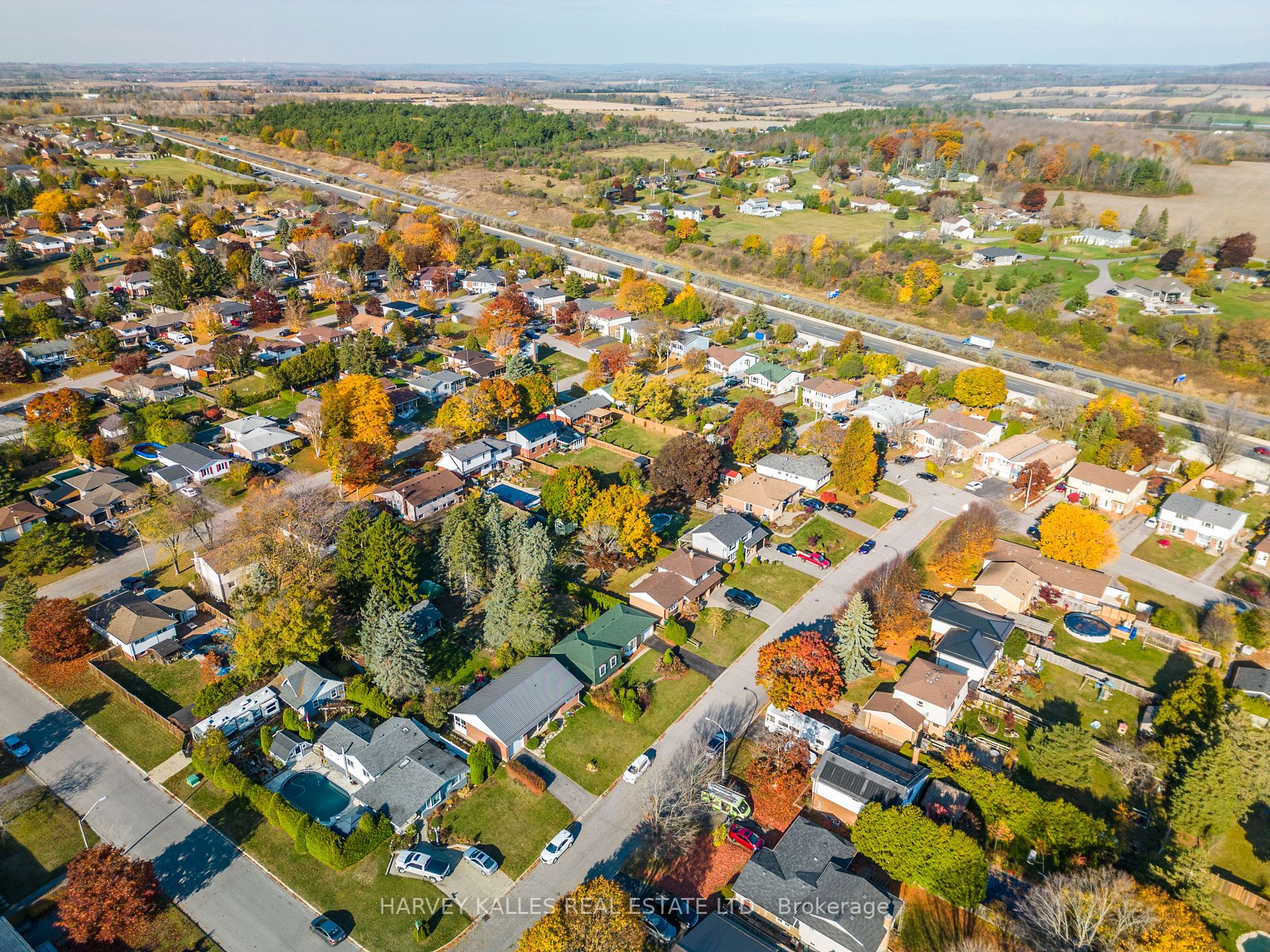 6 Campbell Rd