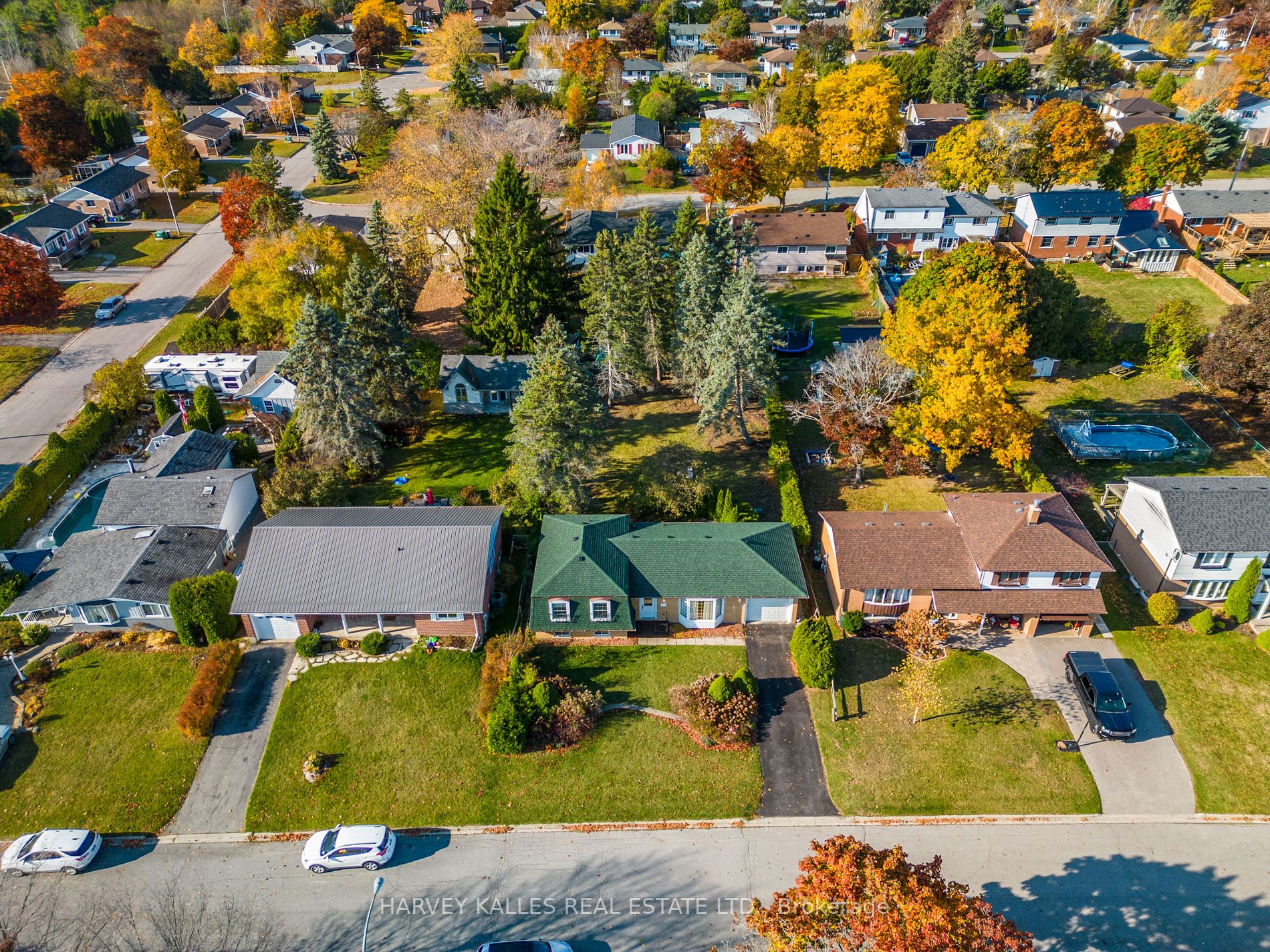 6 Campbell Rd