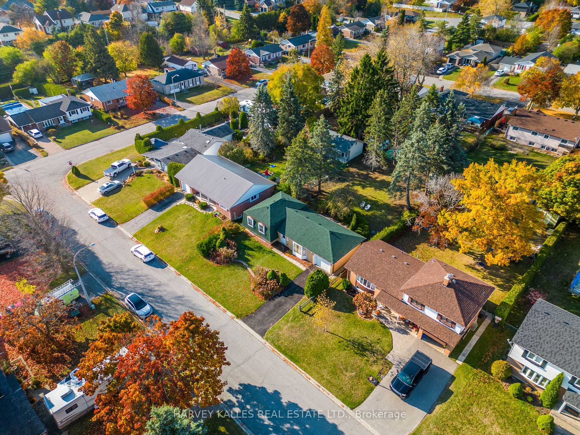 6 Campbell Rd