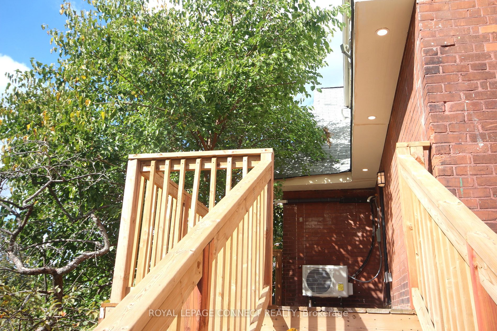 55 Cayuga St