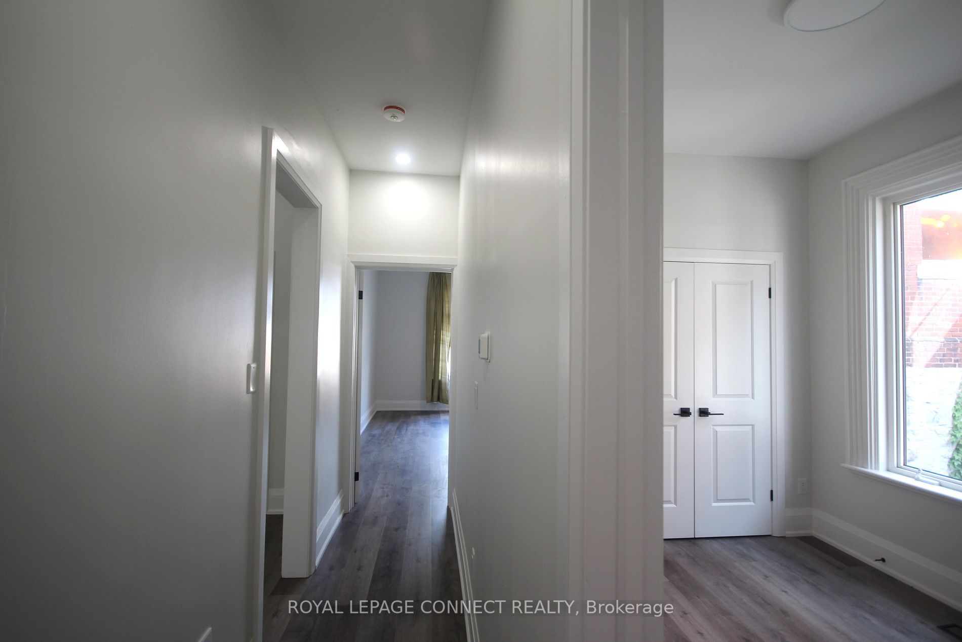 55 Cayuga St