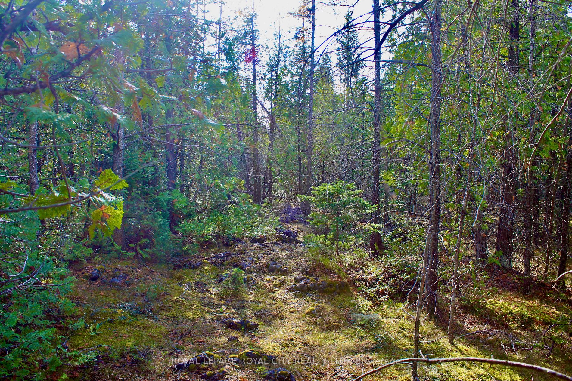 0 Concession Rd 7