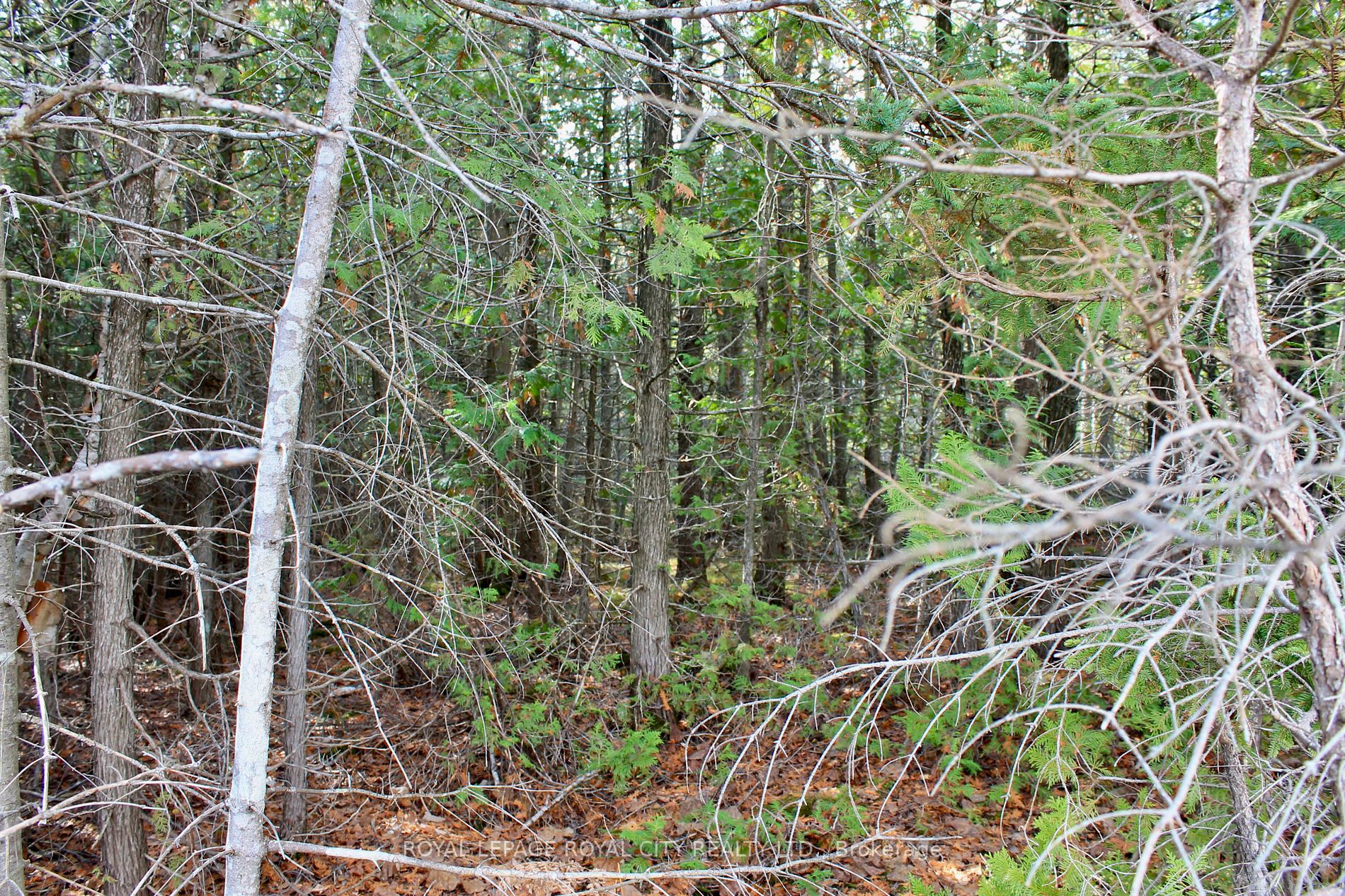 0 Concession Rd 7