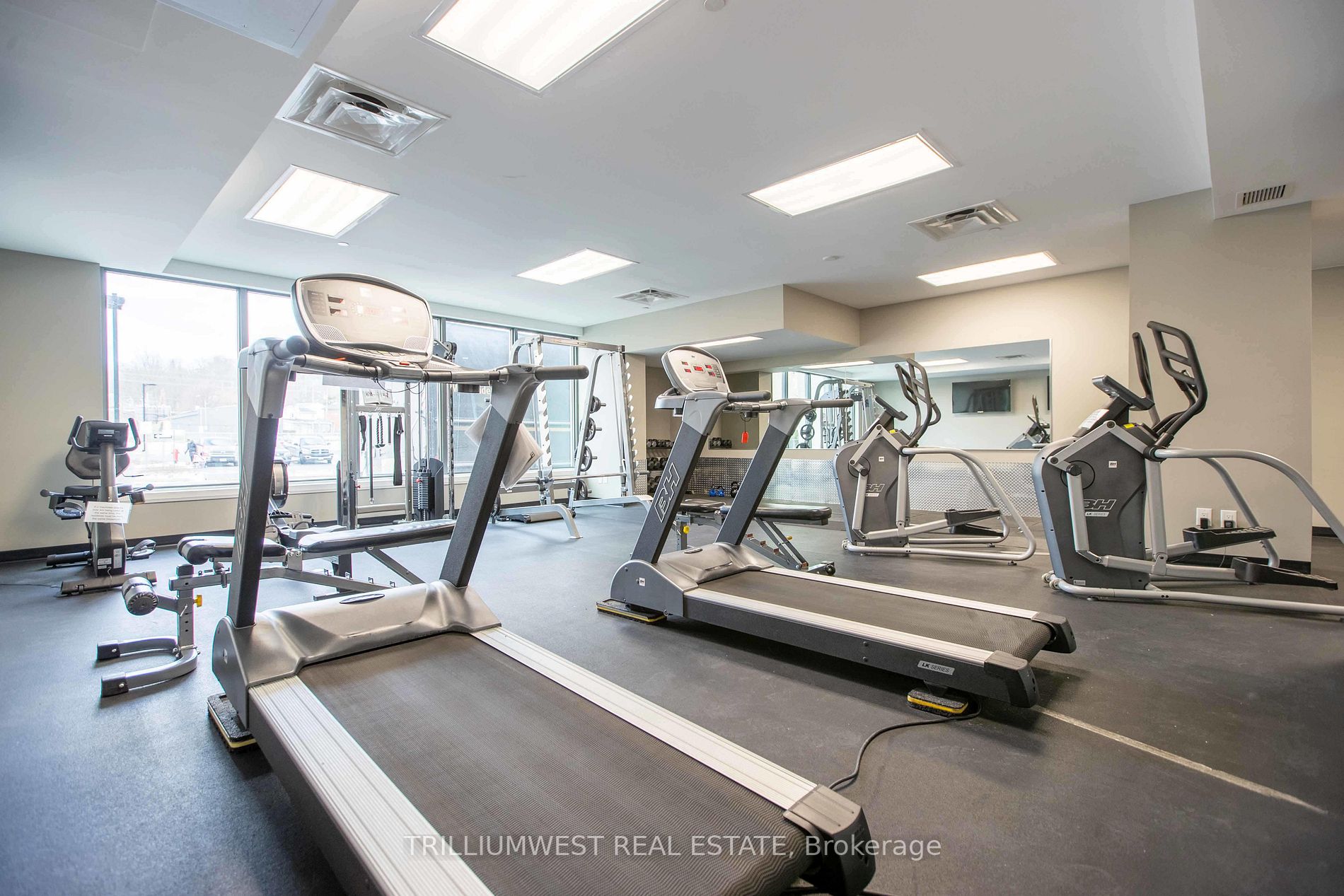 63 Arthur St S, #411