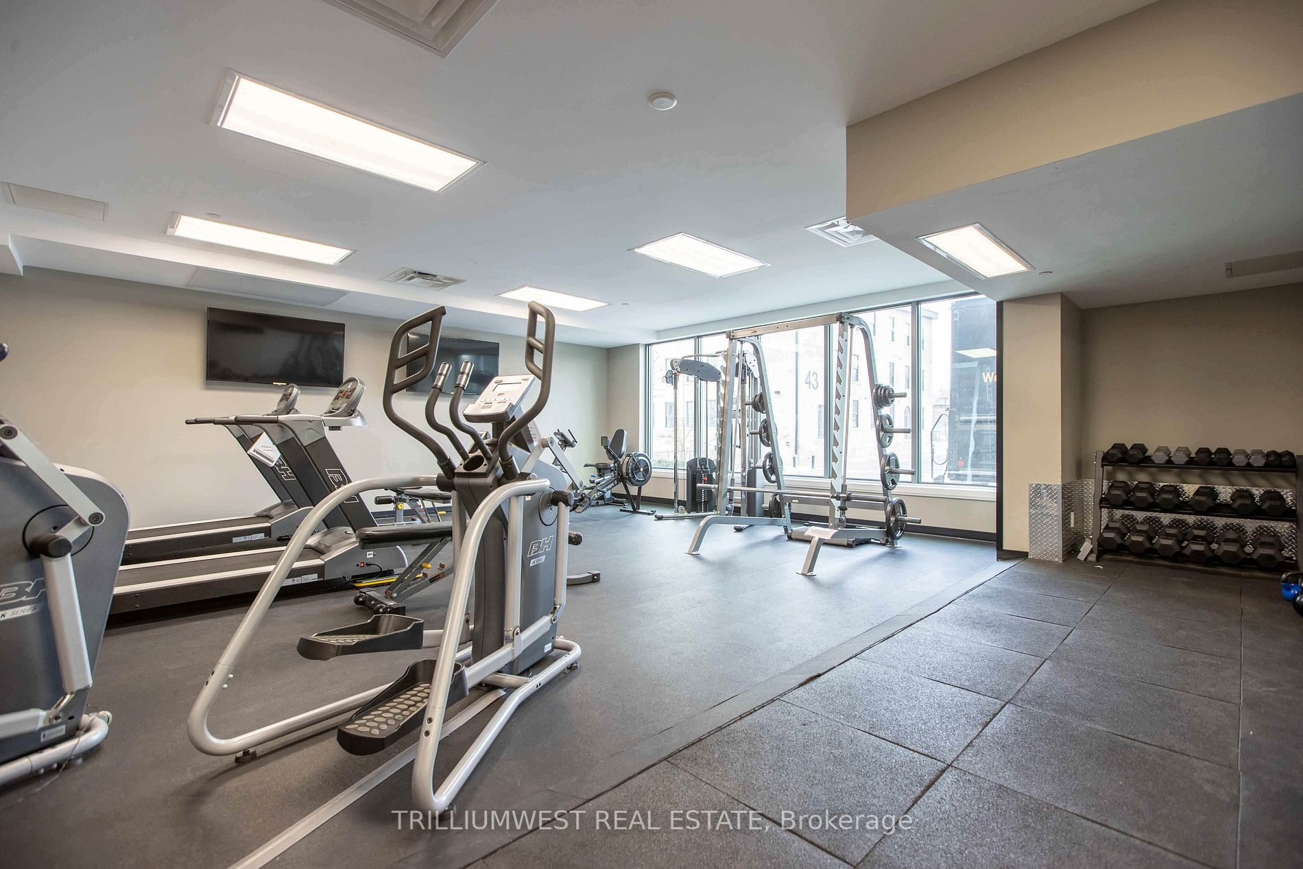 63 Arthur St S, #411