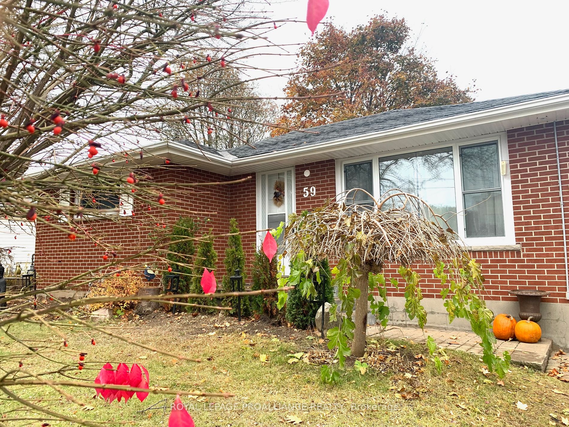 59 Percival St