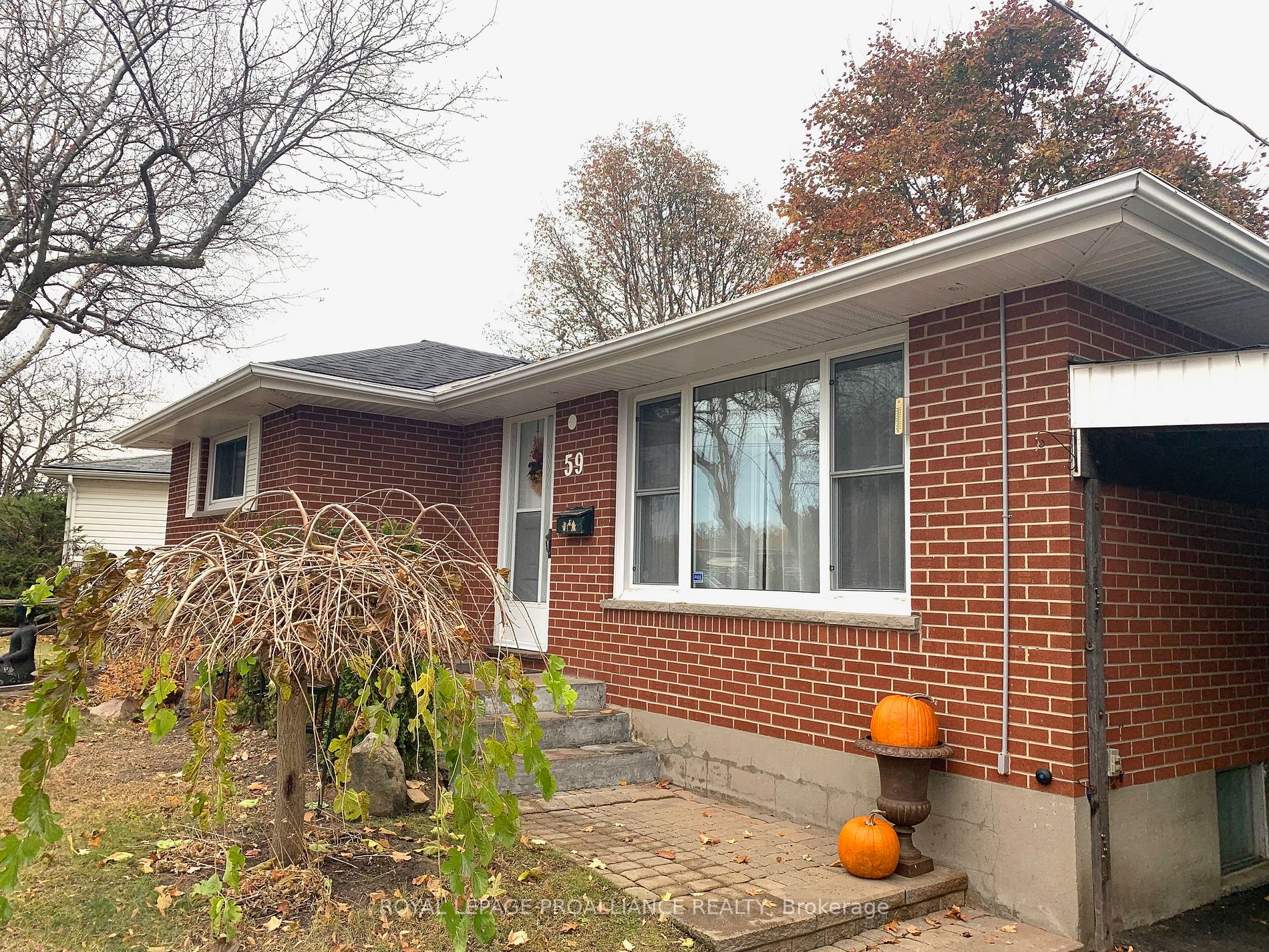 59 Percival St