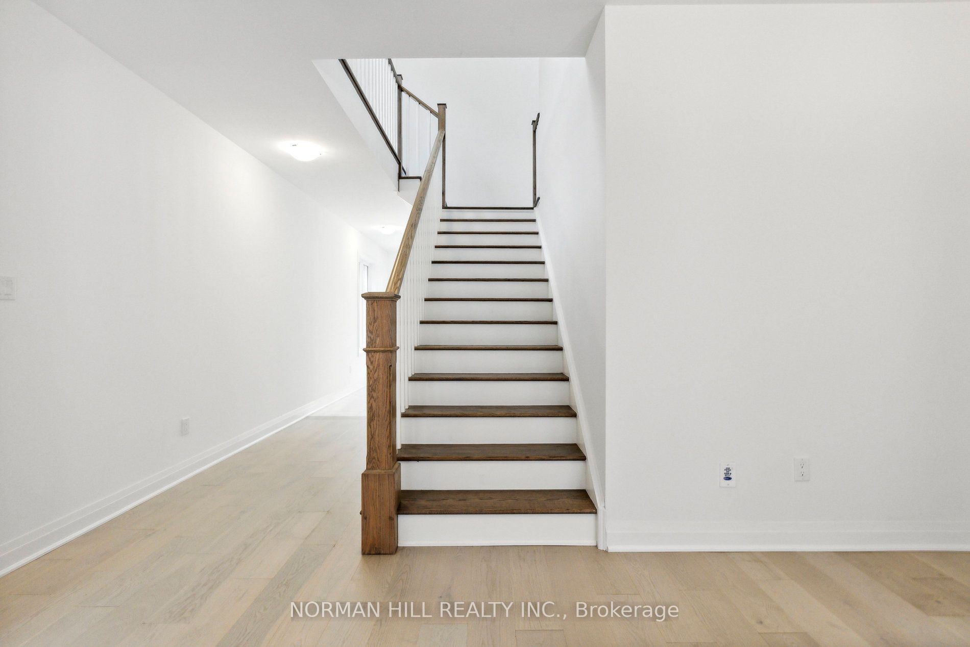 31 Hammermeister St