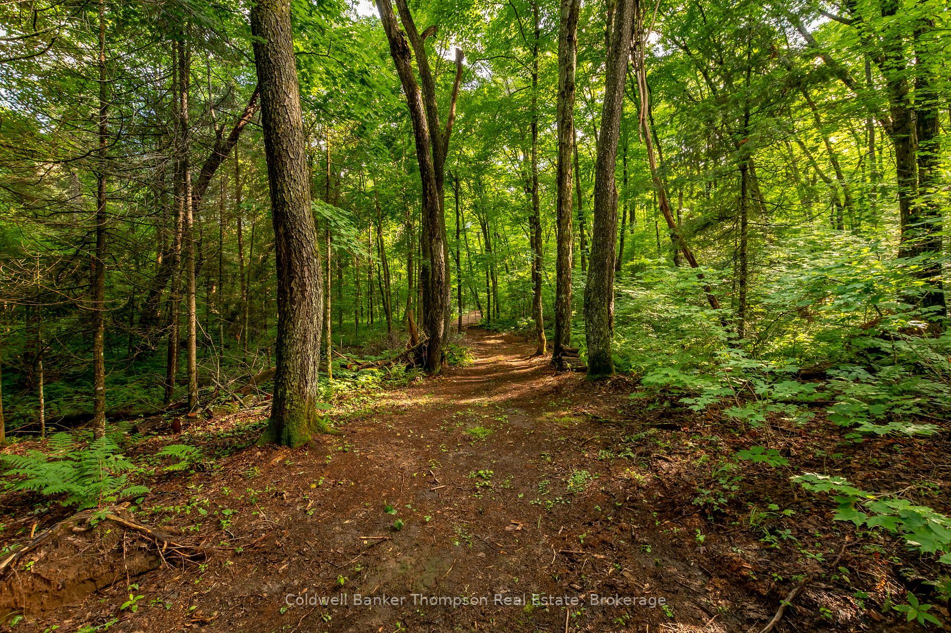 Lot 8 Whitney Rd