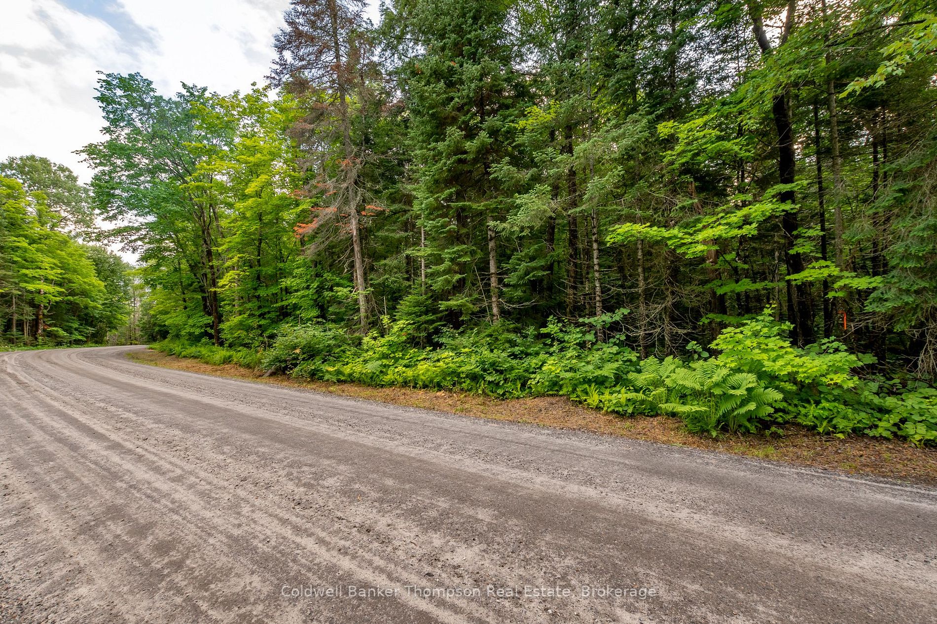 Lot 8 Whitney Rd