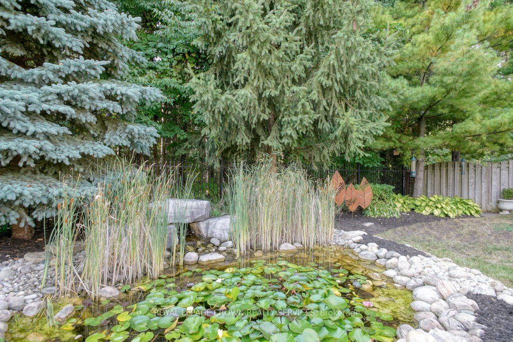 52 Winifred St