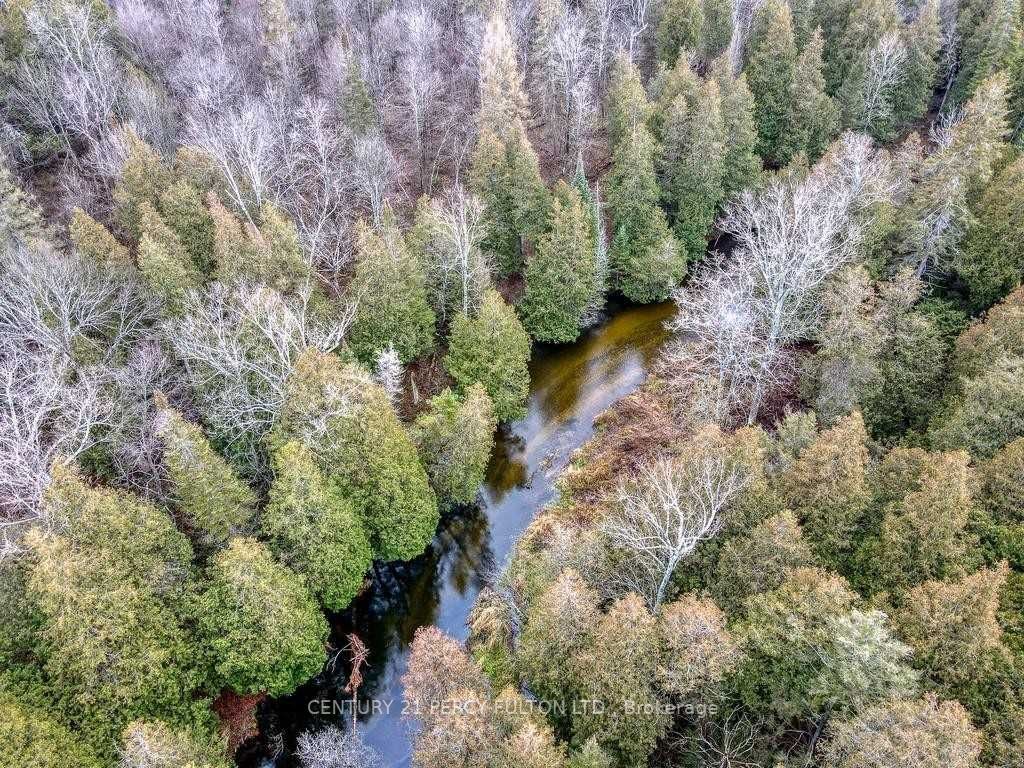 1471 Pinewood School Rd