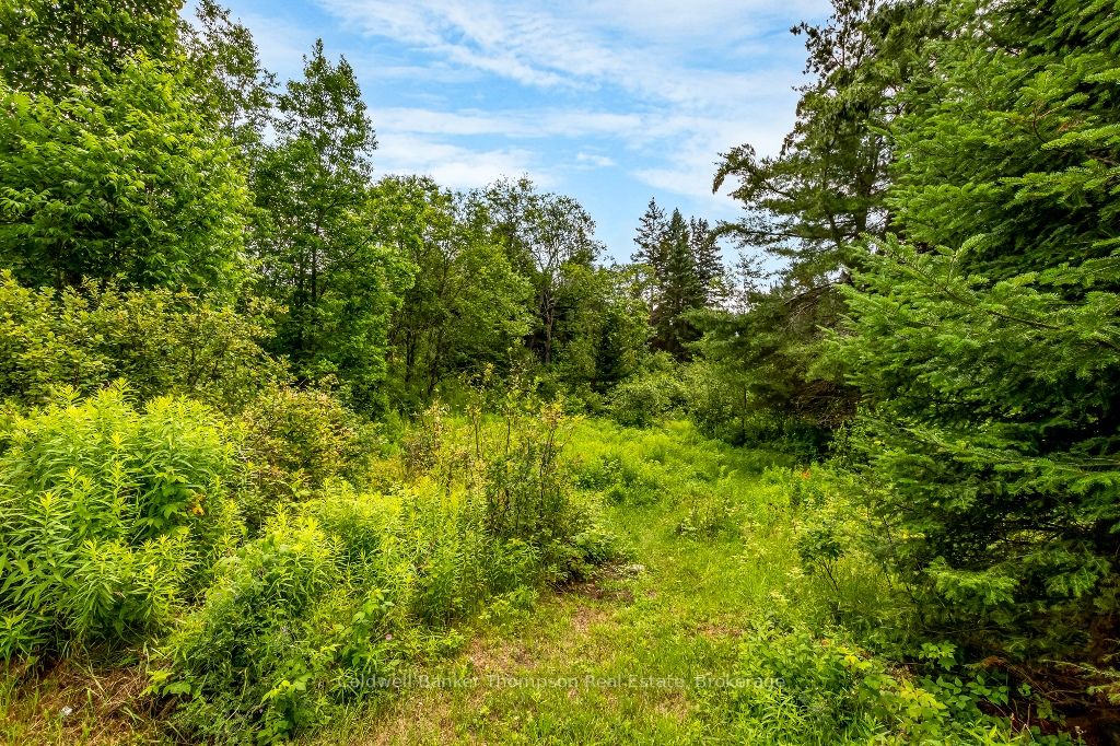 938 Bartlett Lake Rd
