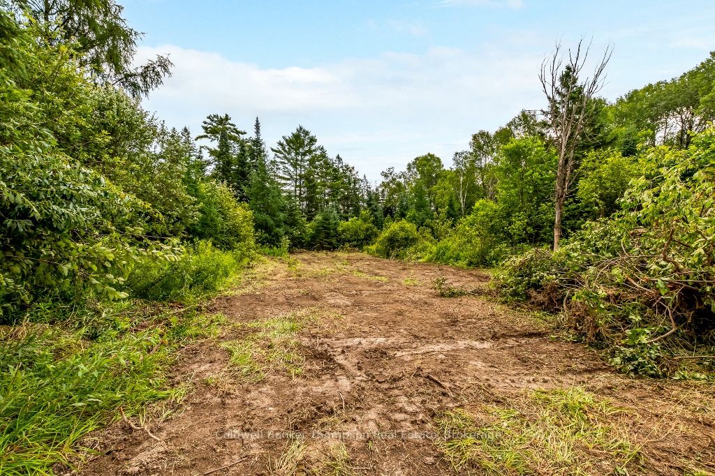 938 Bartlett Lake Rd