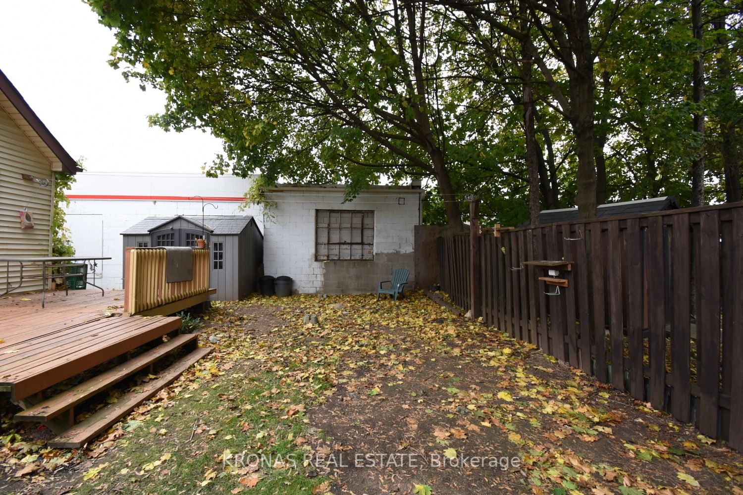 8 Thorpe St
