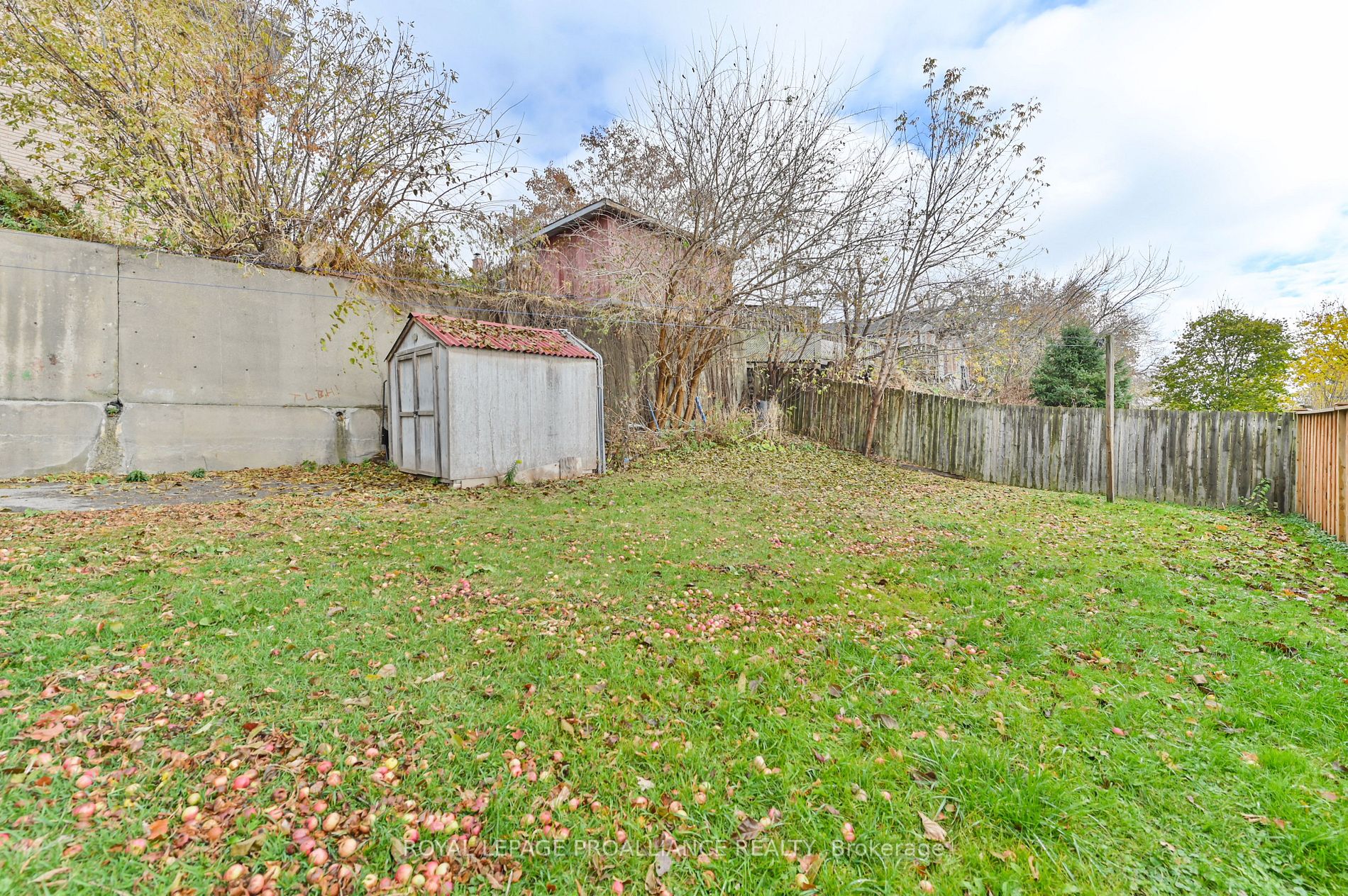 33 Cedar St